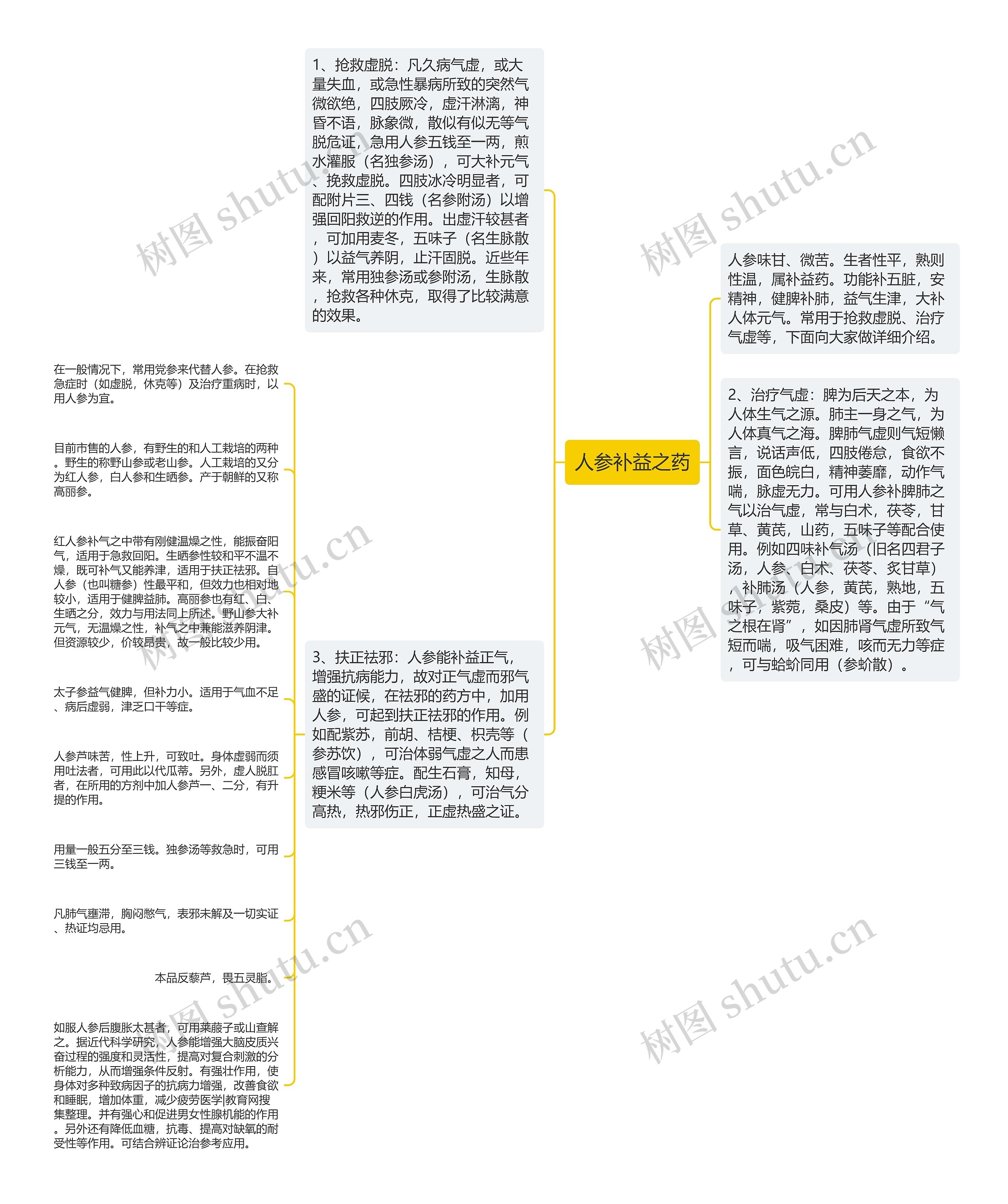 人参补益之药思维导图