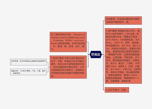 野黄皮