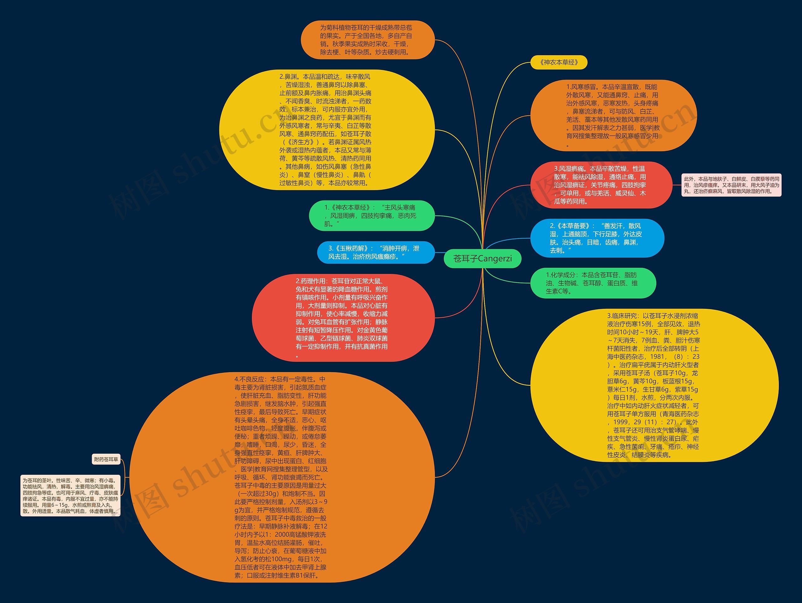 苍耳子Cangerzi思维导图