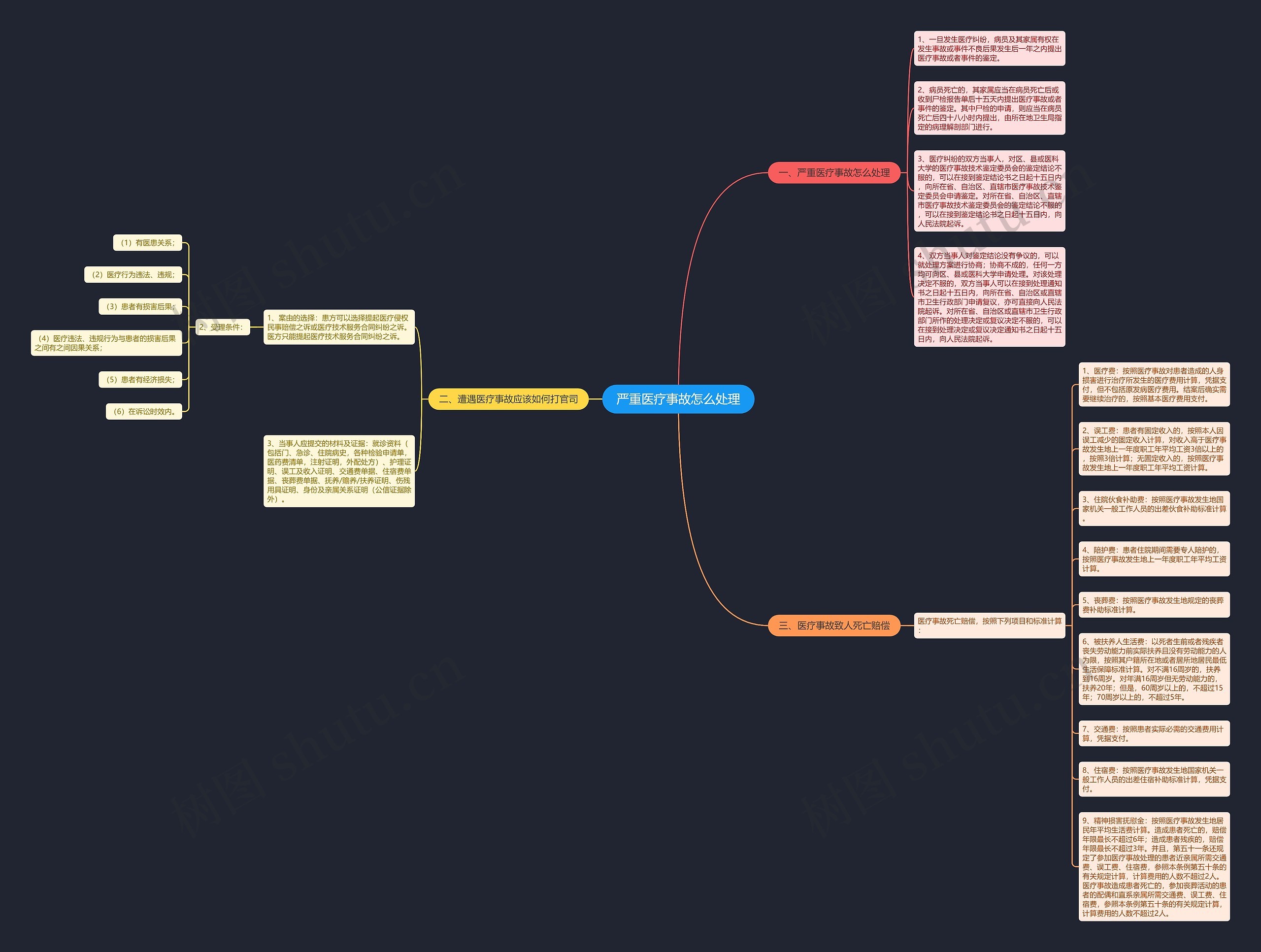 严重医疗事故怎么处理思维导图
