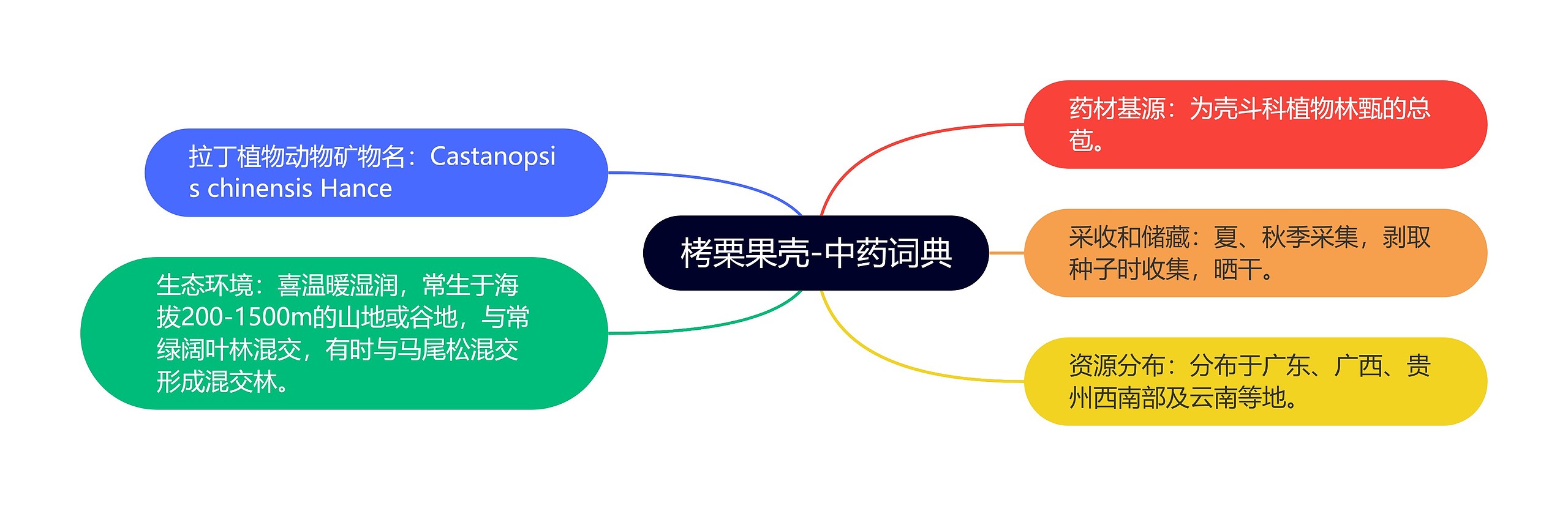 栲栗果壳-中药词典思维导图