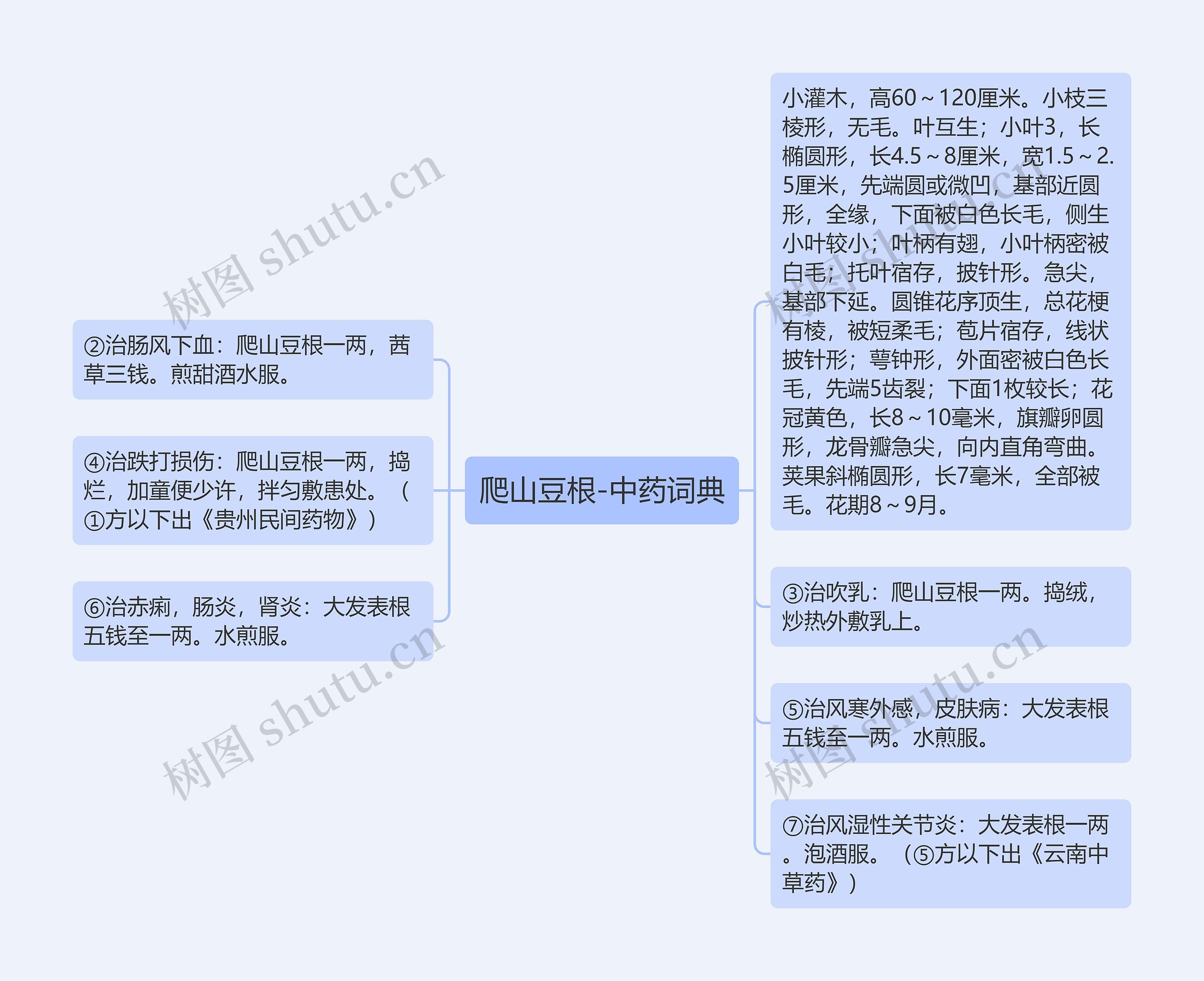 爬山豆根-中药词典思维导图