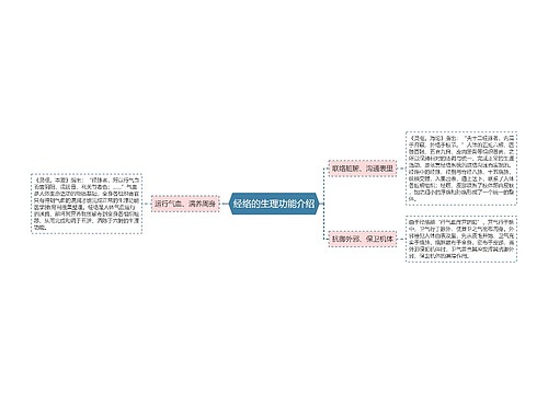 经络的生理功能介绍