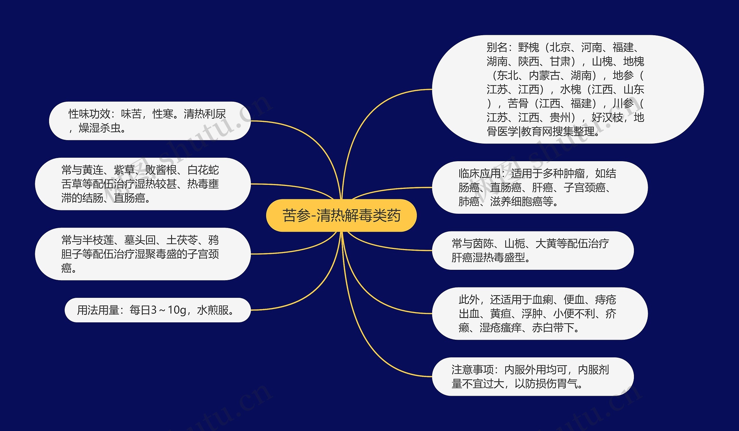 苦参-清热解毒类药思维导图