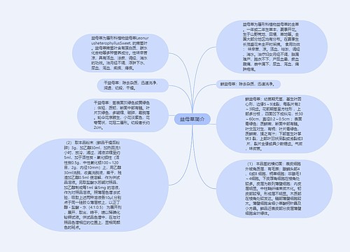 益母草简介