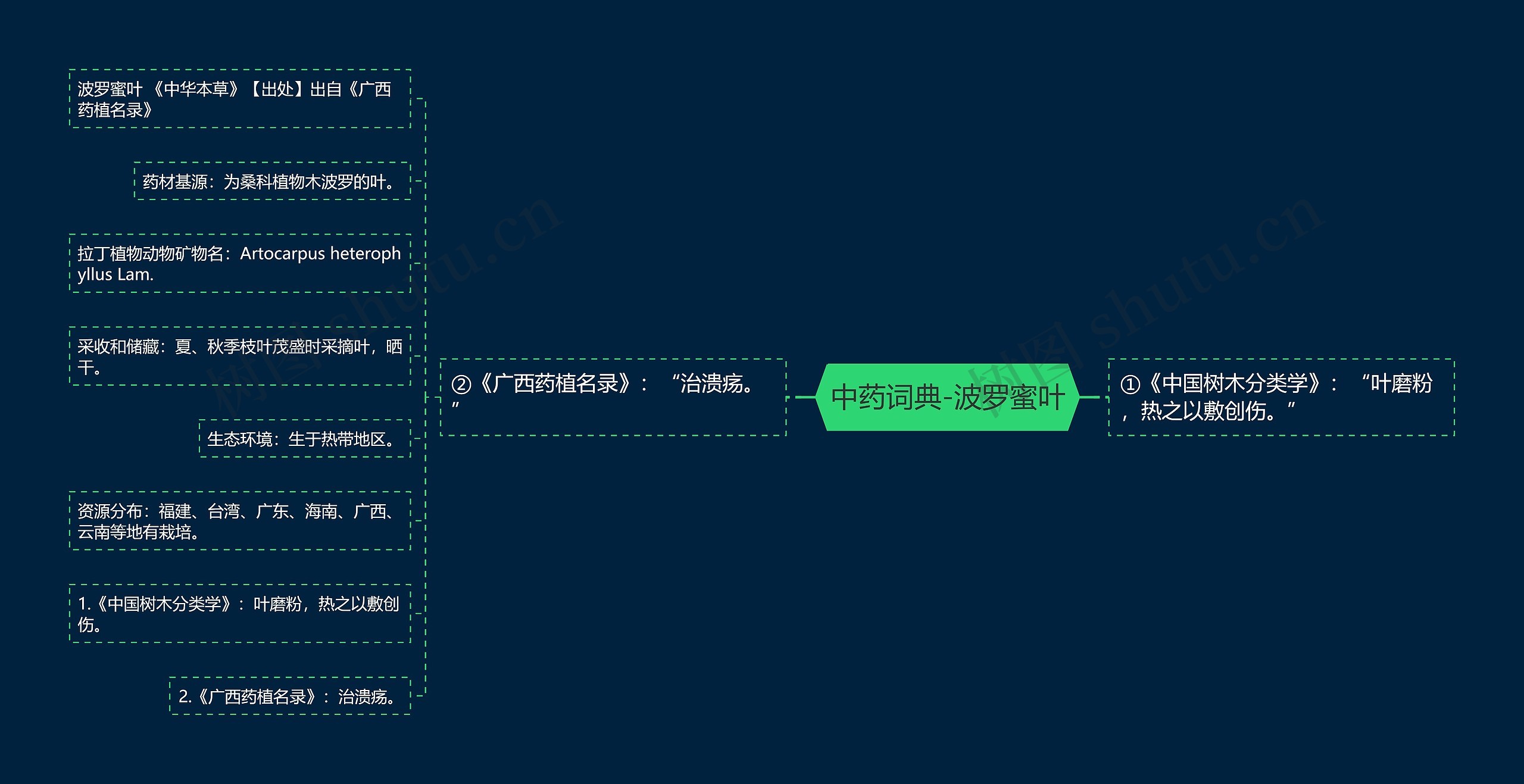 中药词典-波罗蜜叶