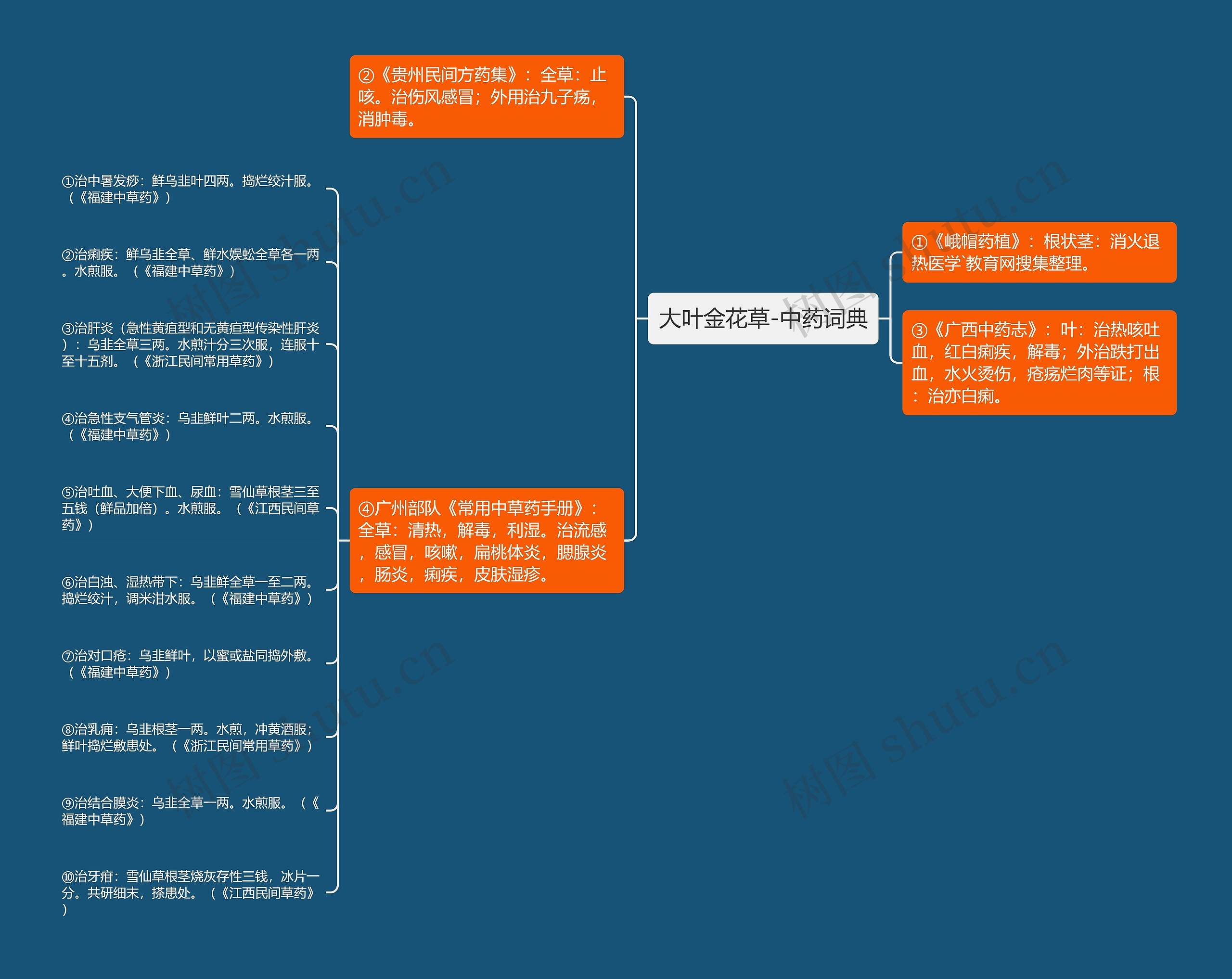 大叶金花草-中药词典 大叶金花草-中药词典