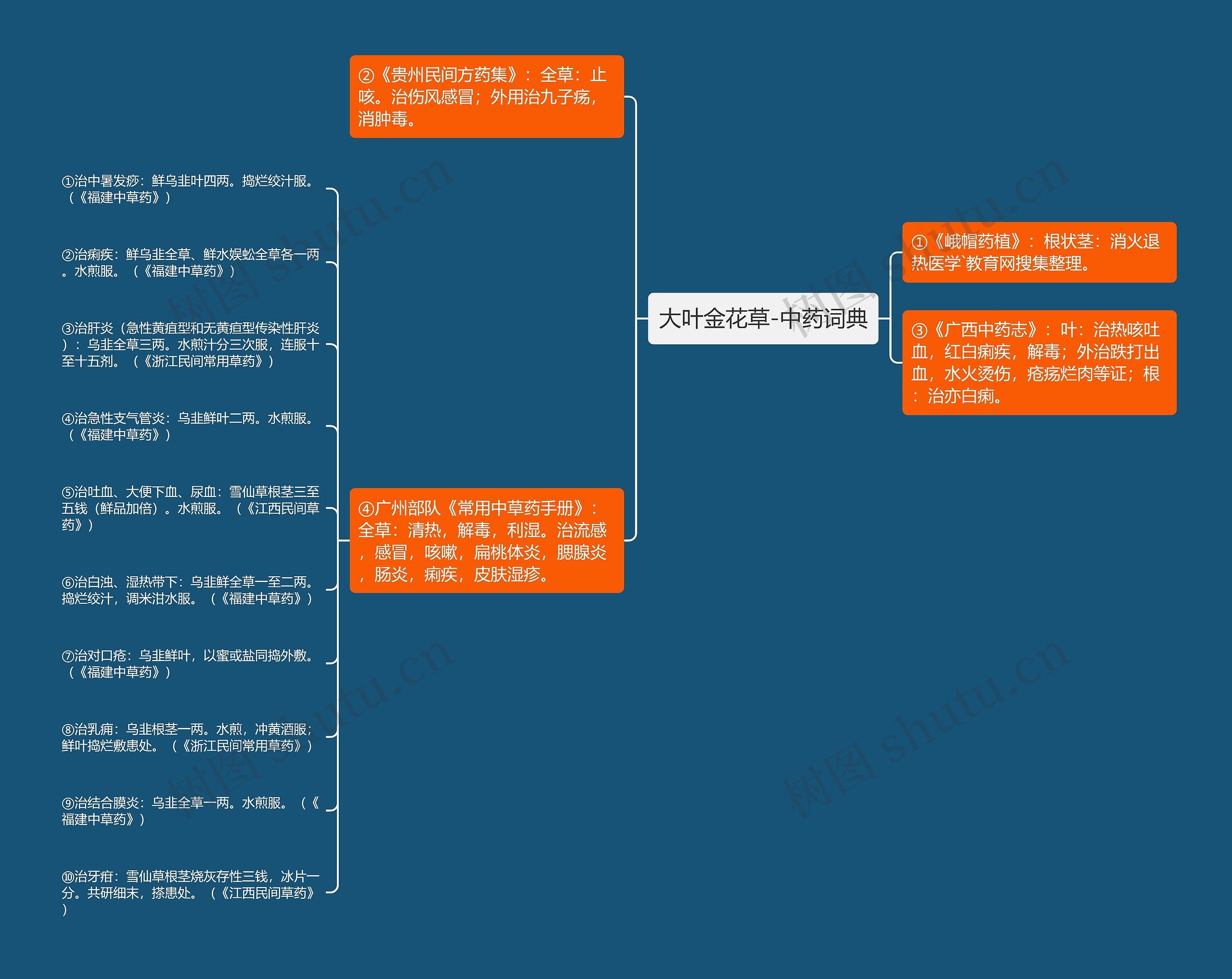 大叶金花草-中药词典思维导图