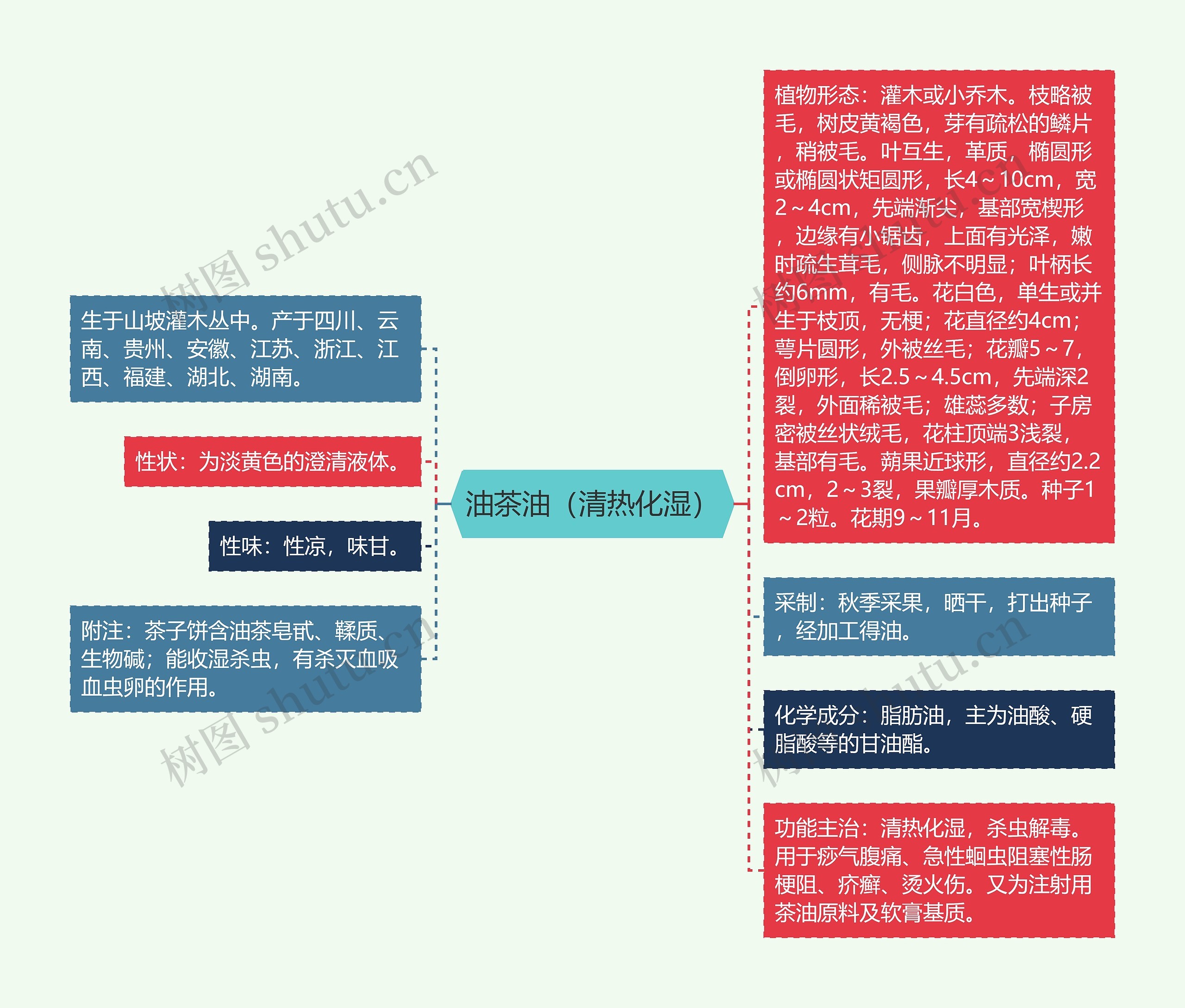 油茶油（清热化湿）思维导图