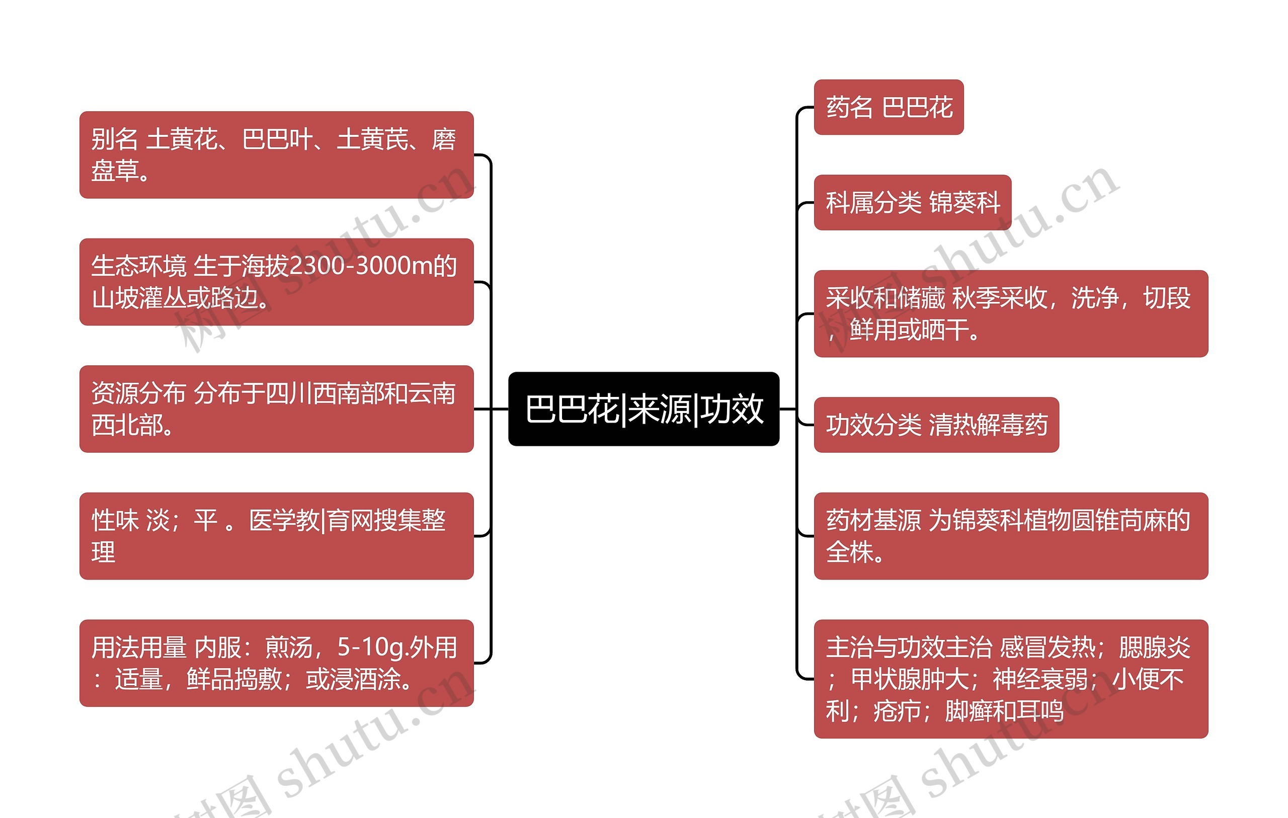 巴巴花|来源|功效思维导图