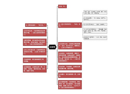 白接骨