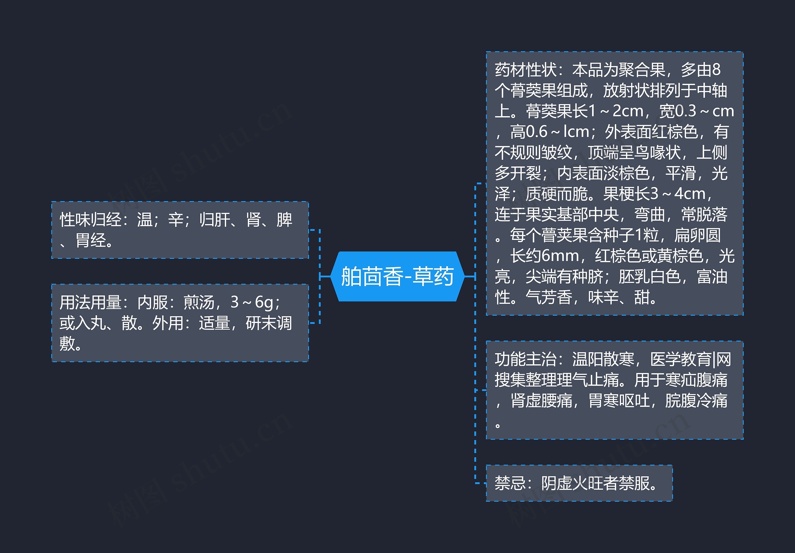 舶茴香-草药 舶茴香-草药