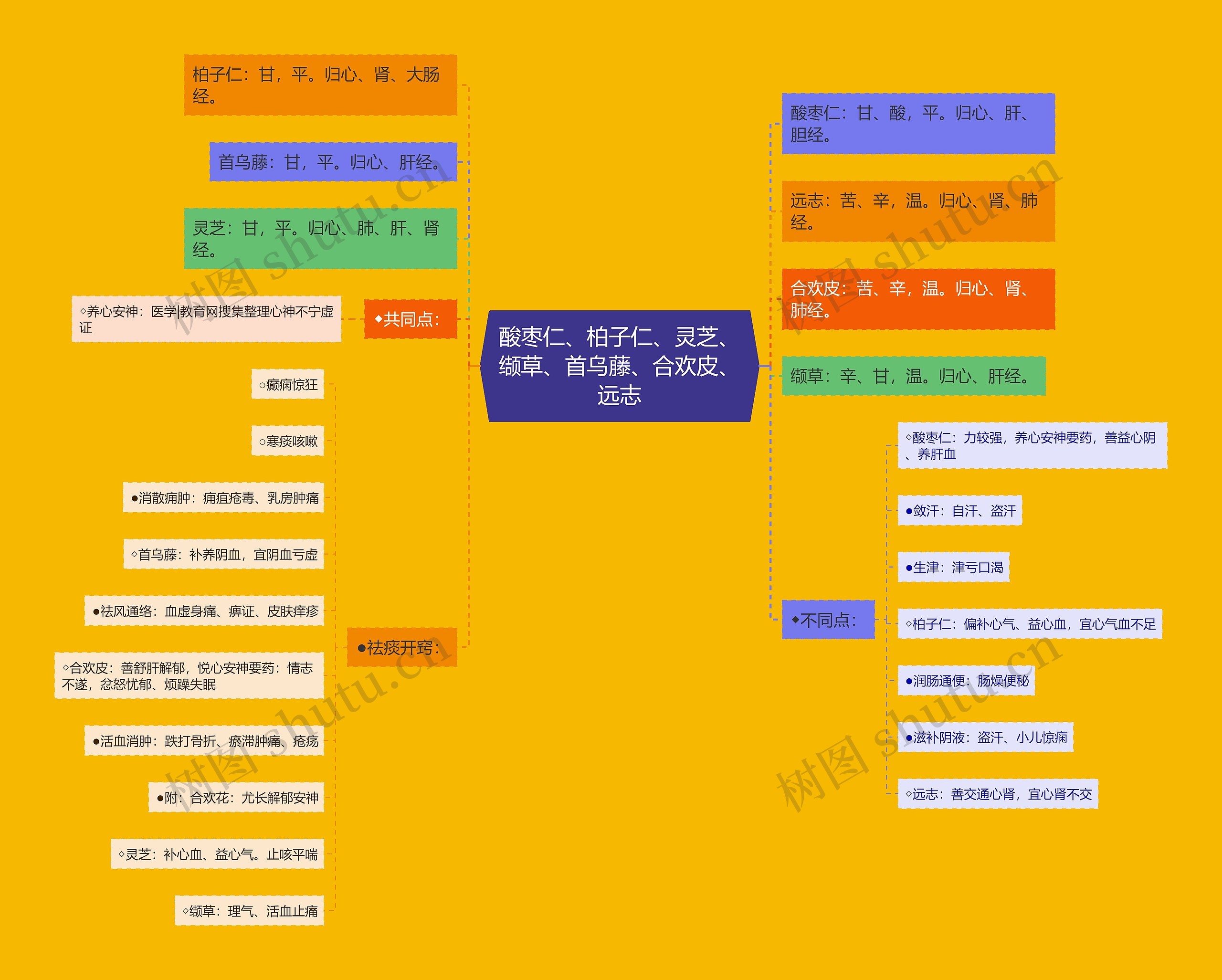 酸枣仁、柏子仁、灵芝、缬草、首乌藤、合欢皮、远志思维导图