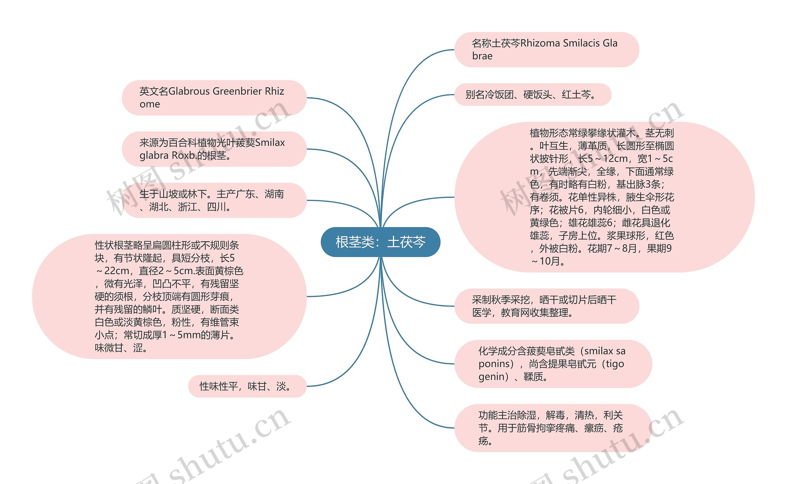 根茎类：土茯芩思维导图