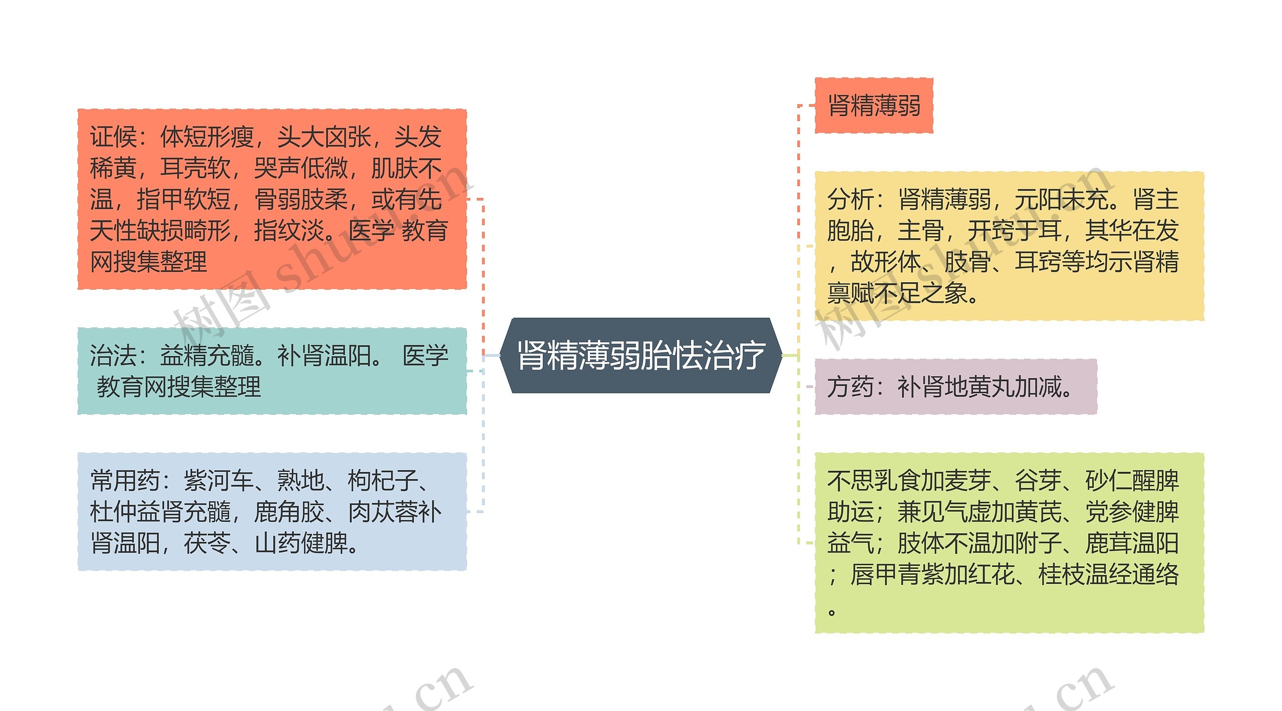 肾精薄弱胎怯治疗思维导图