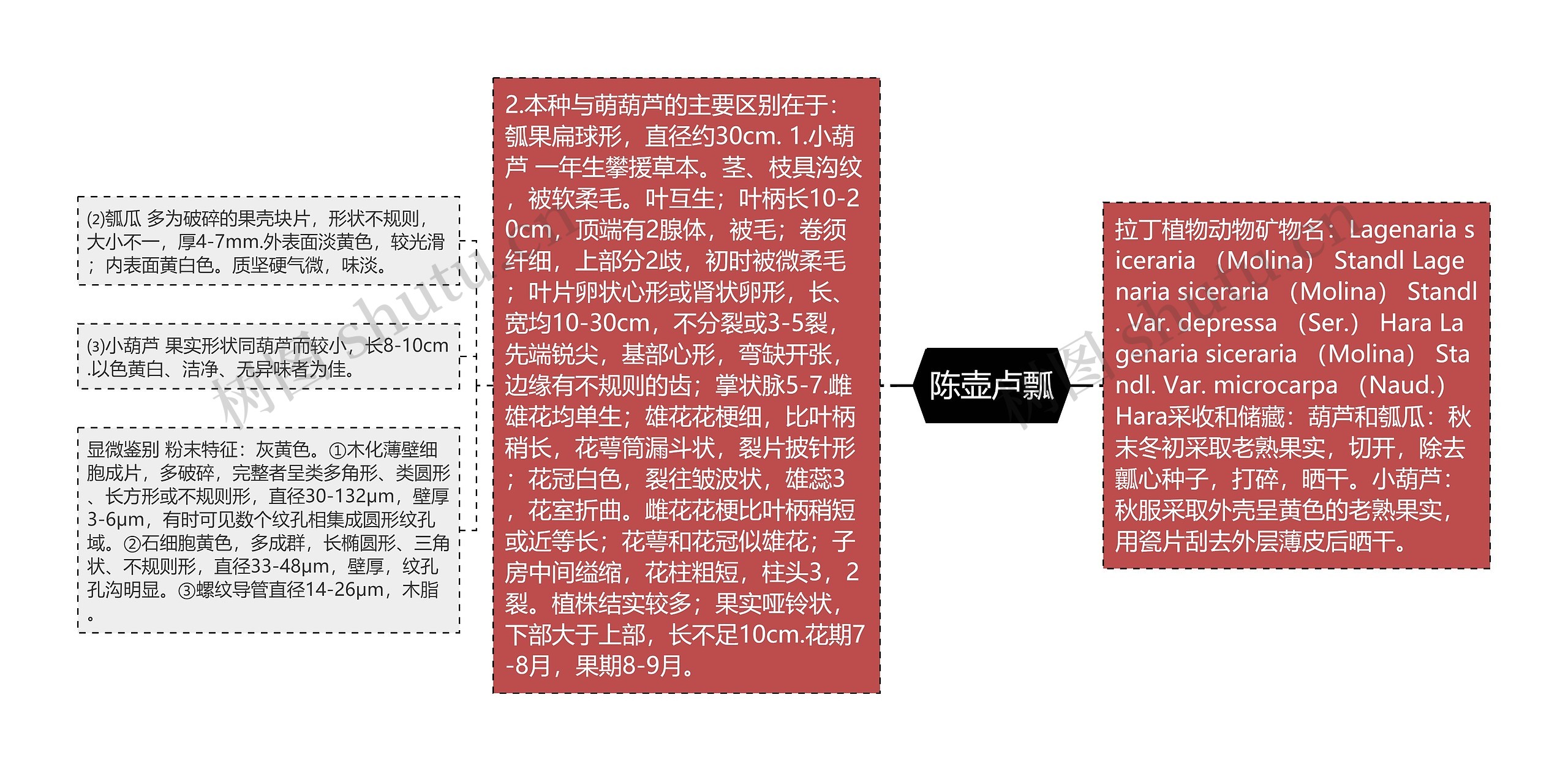 陈壶卢瓢 陈壶卢瓢