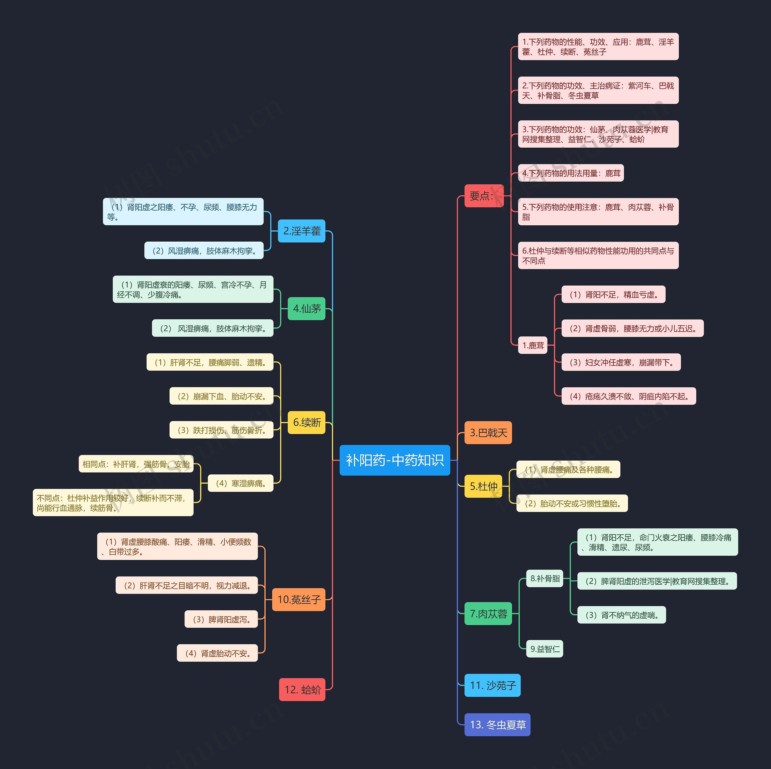 补阳药-中药知识思维导图