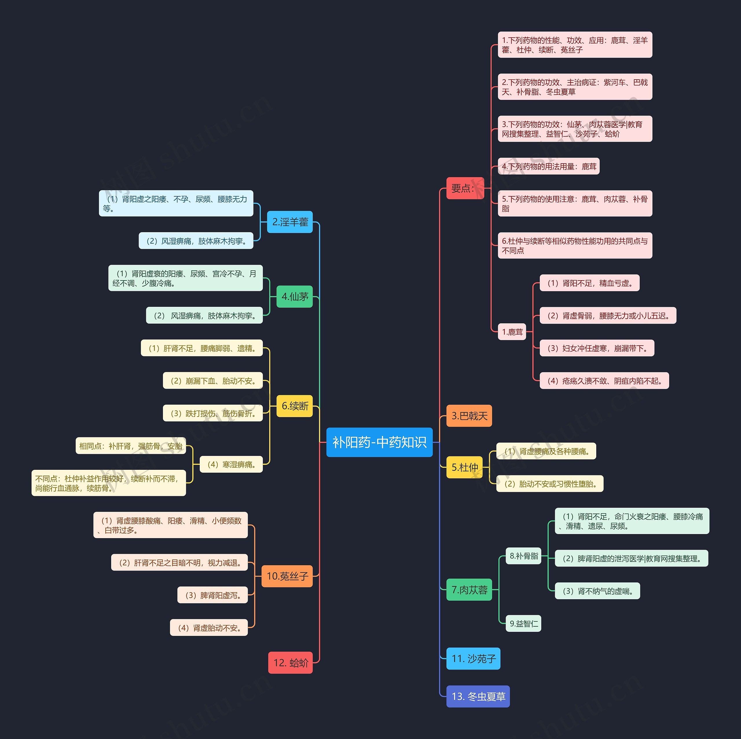补阳药-中药知识 补阳药-中药知识