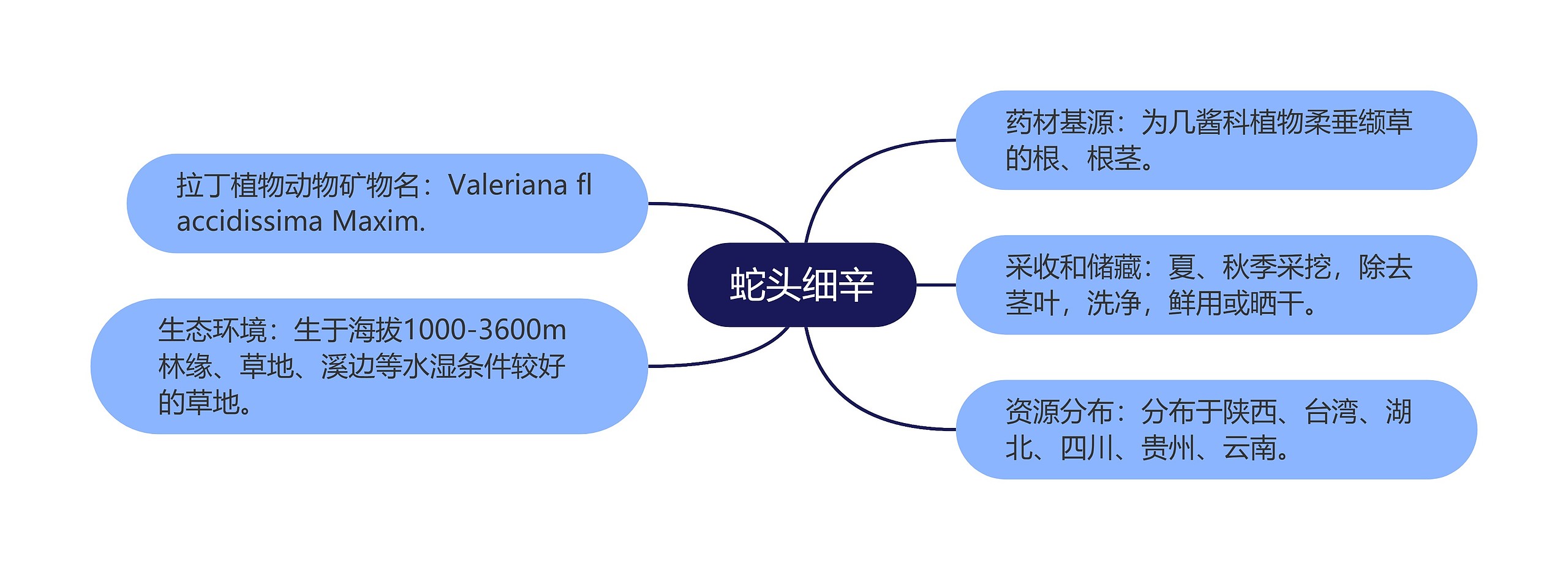 蛇头细辛思维导图