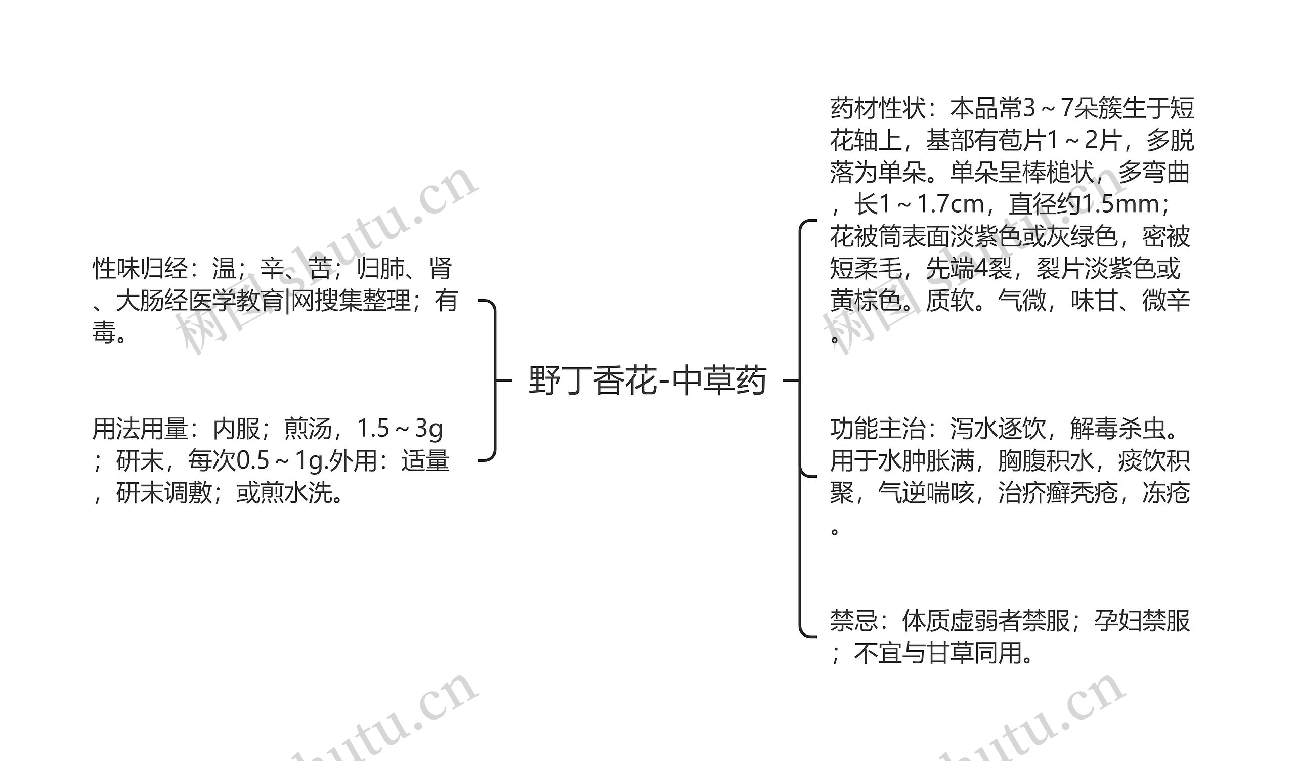 野丁香花-中草药思维导图