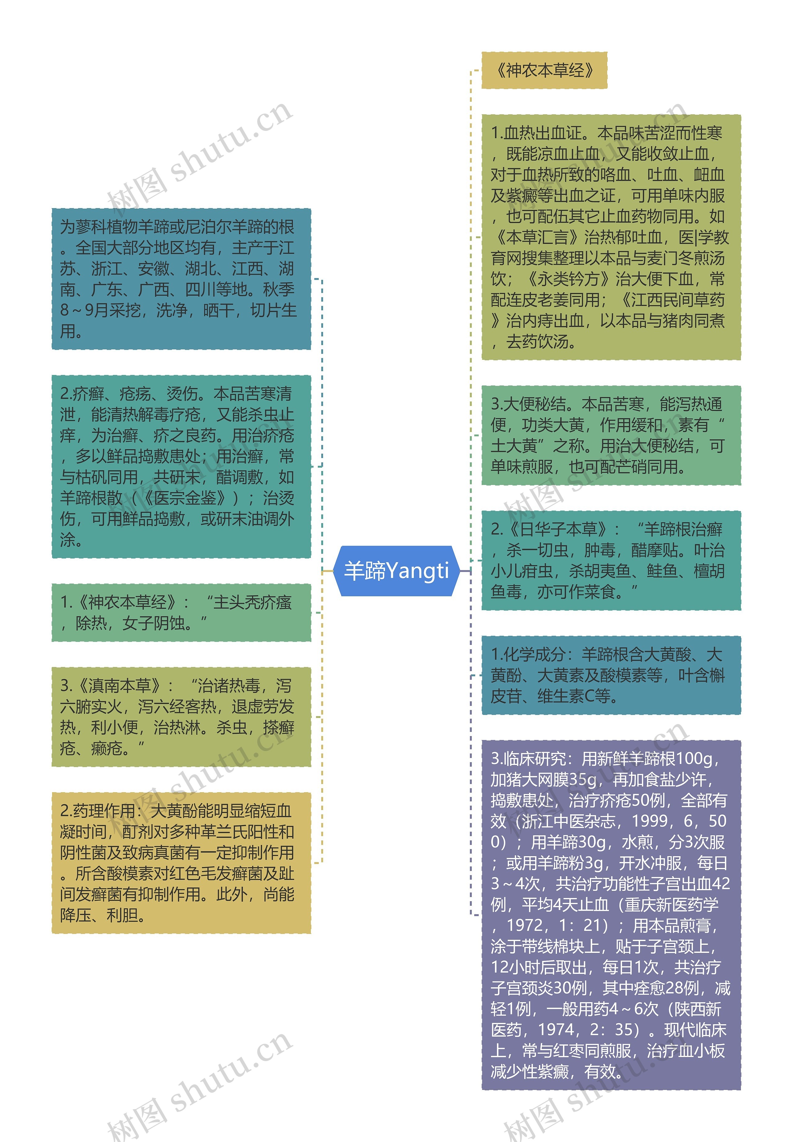 羊蹄Yangti