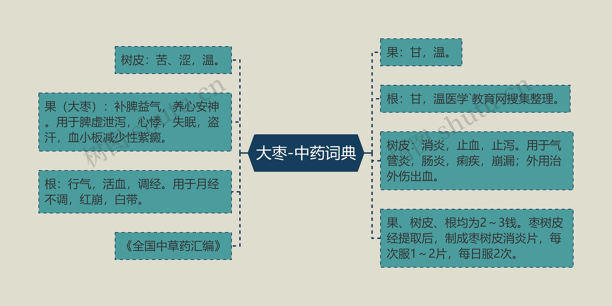 大枣-中药词典思维导图