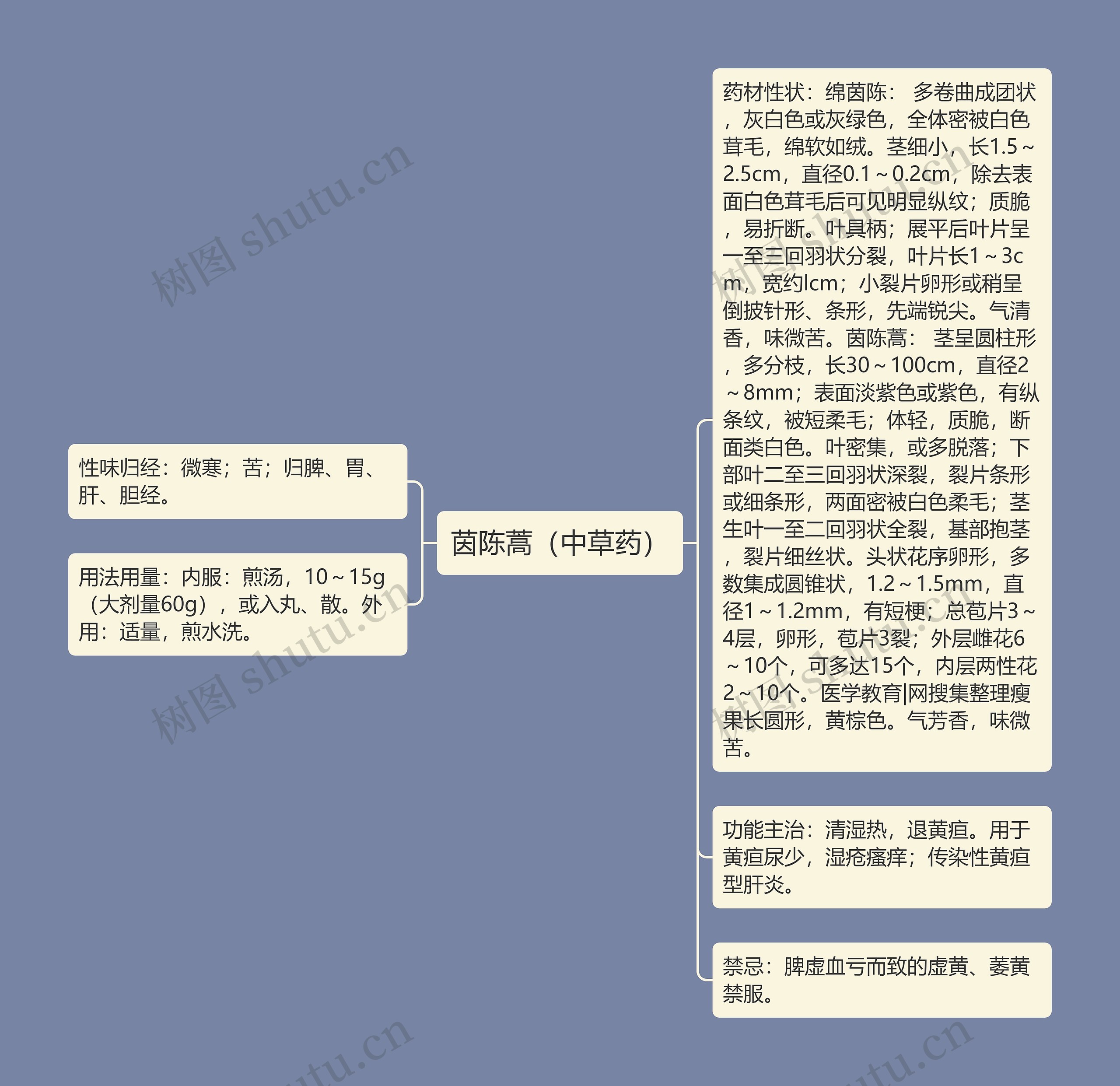 茵陈蒿(中草药) 茵陈蒿(中草药)