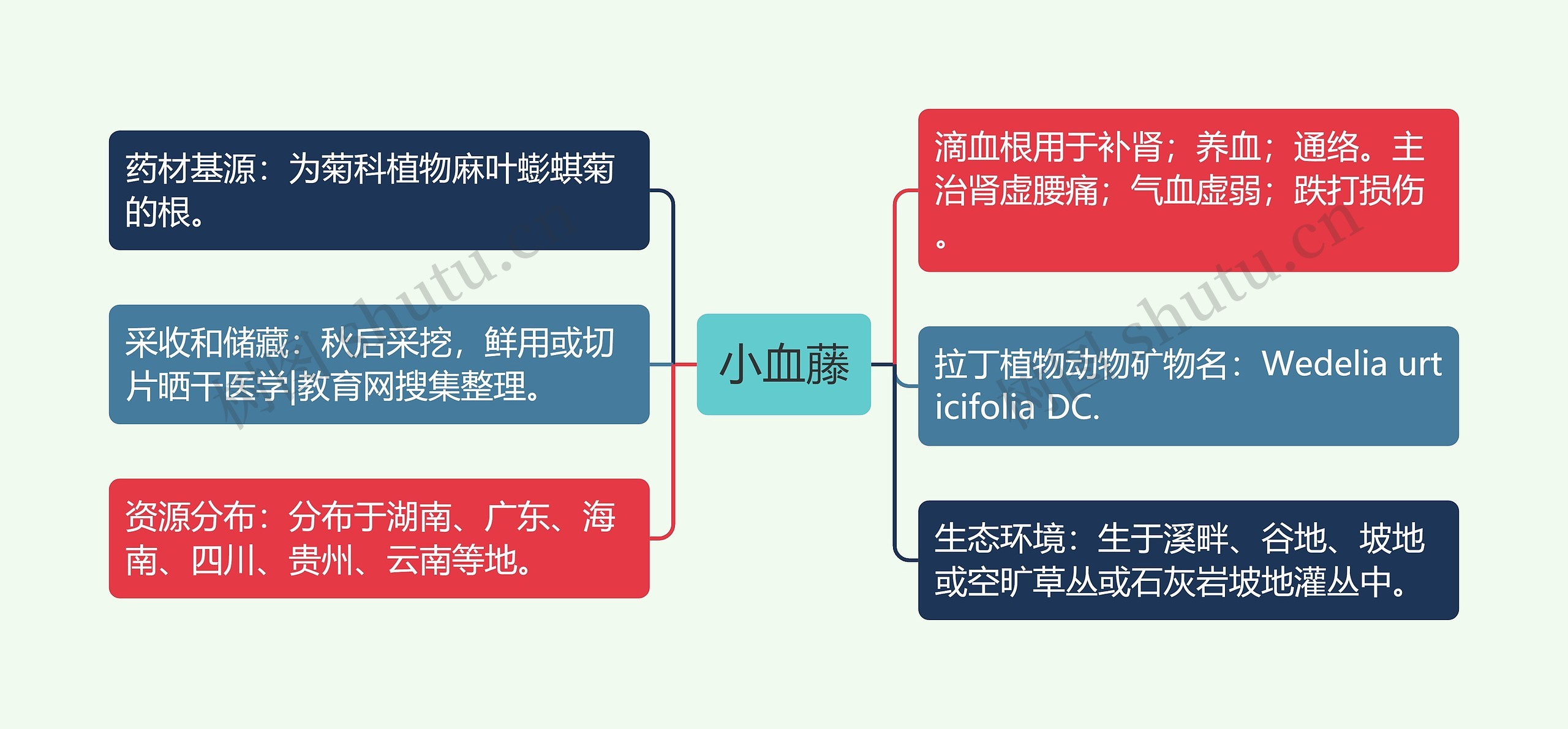 小血藤思维导图