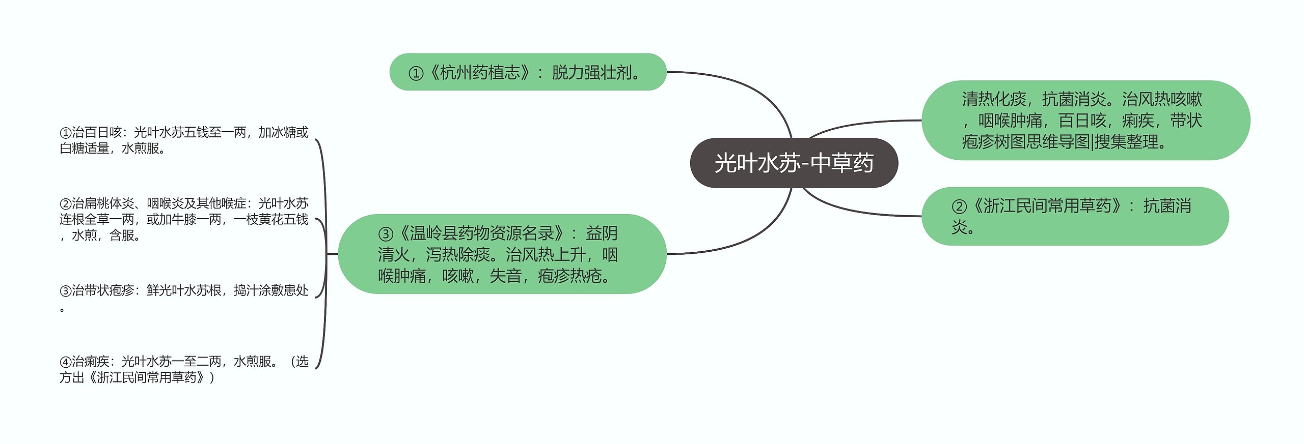 光叶水苏-中草药 光叶水苏-中草药