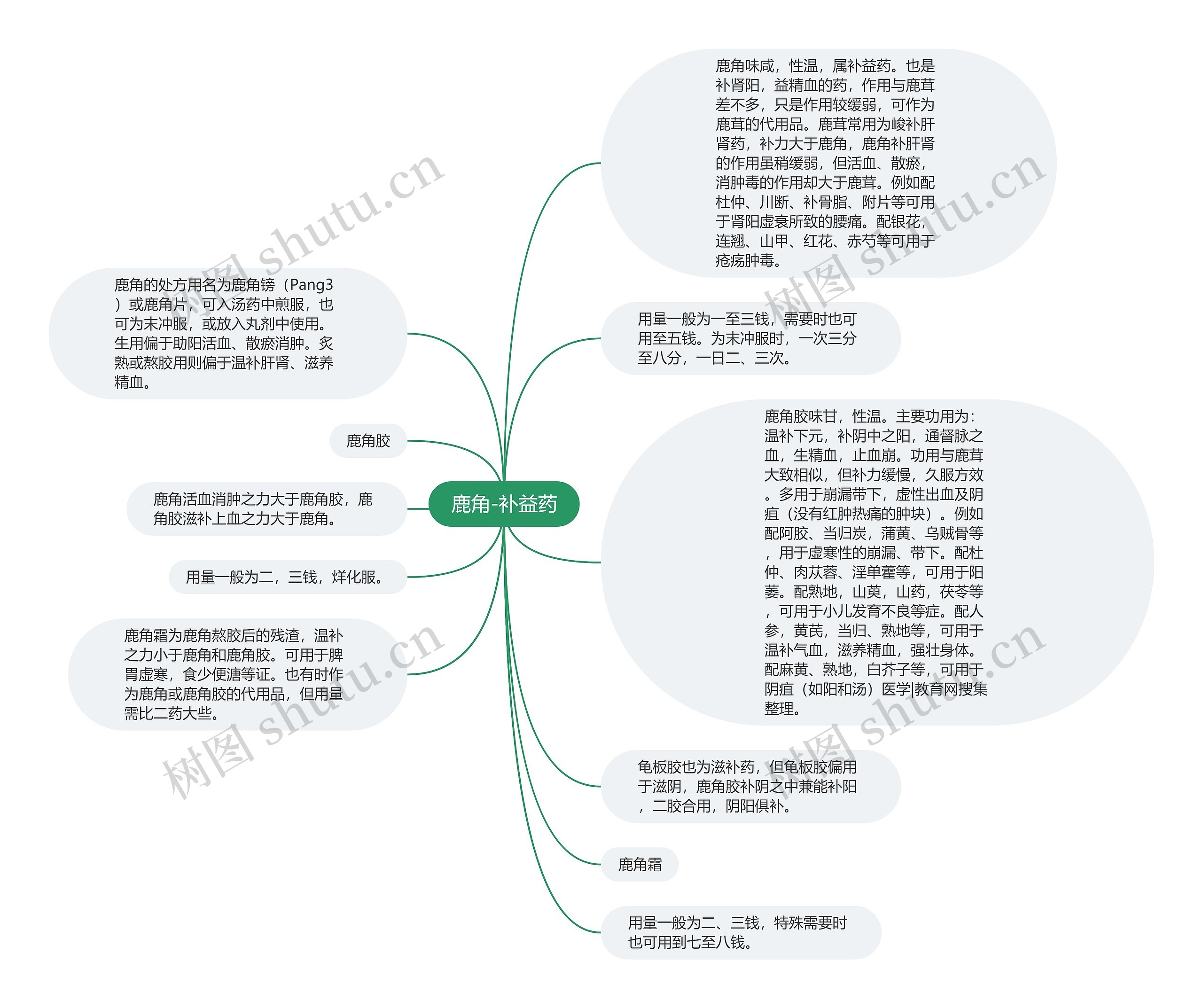 鹿角-补益药思维导图