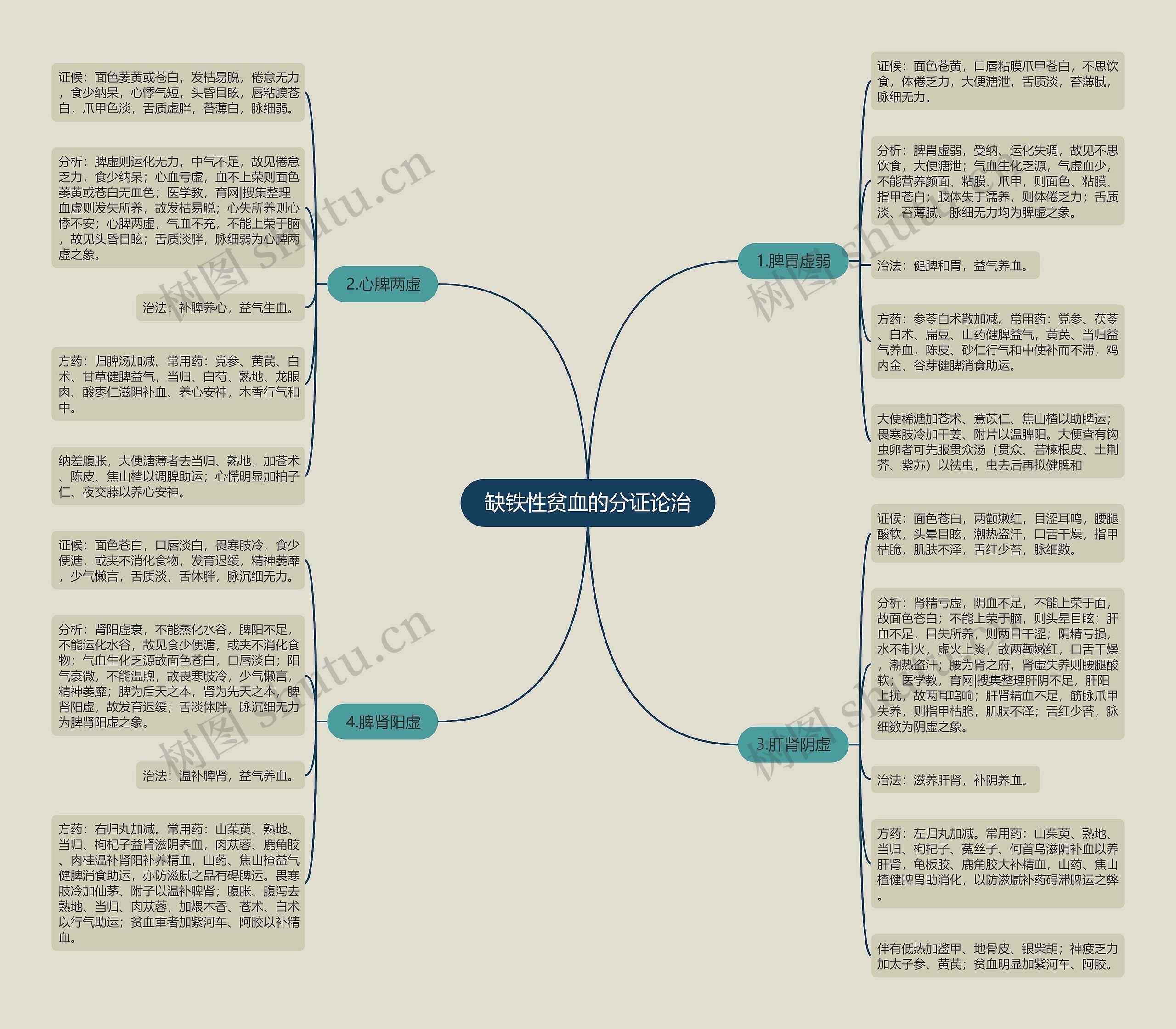 缺铁性贫血的分证论治思维导图