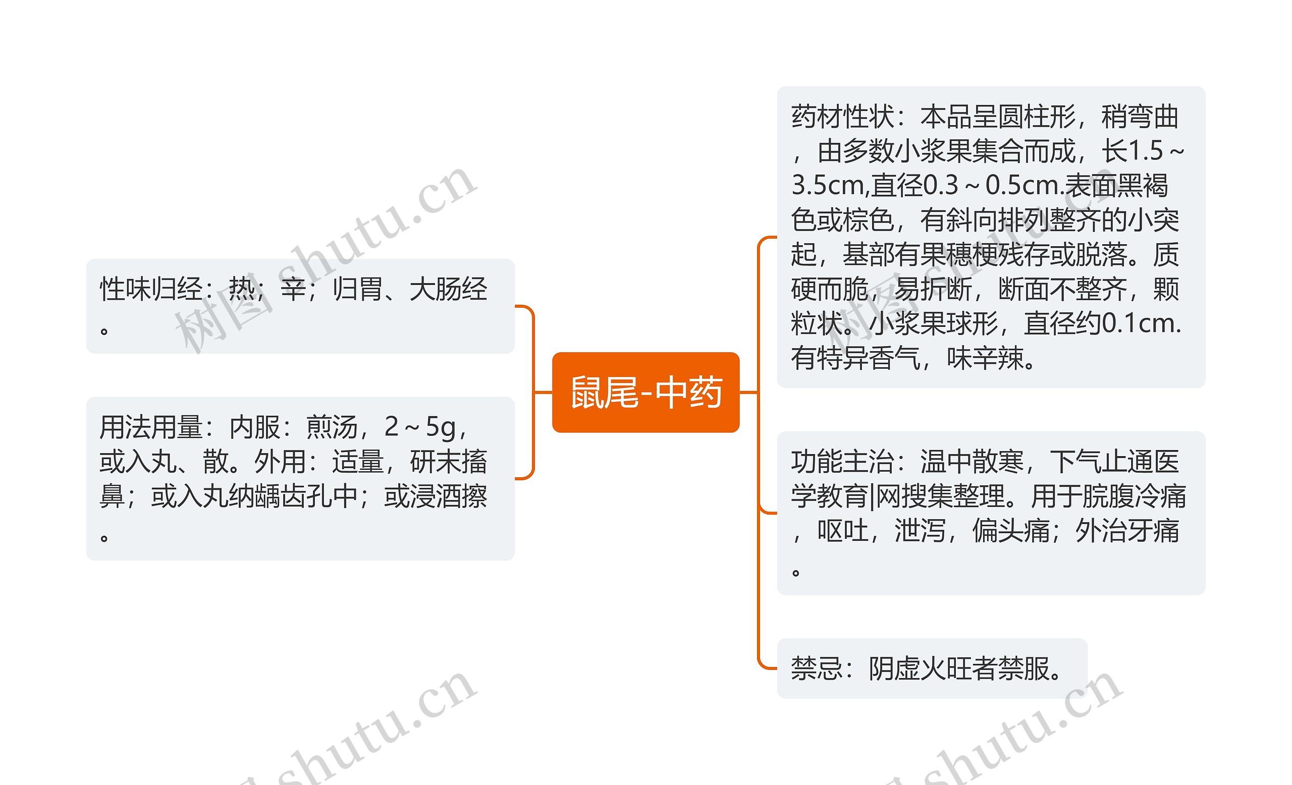 鼠尾-中药 鼠尾-中药