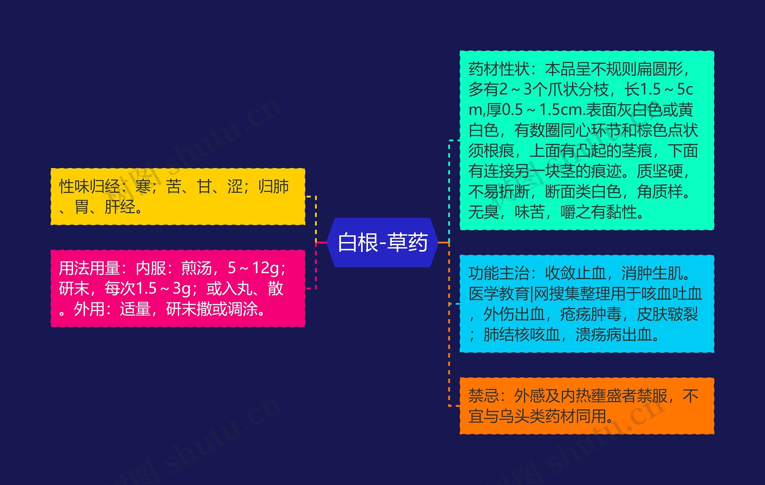 白根-草药思维导图