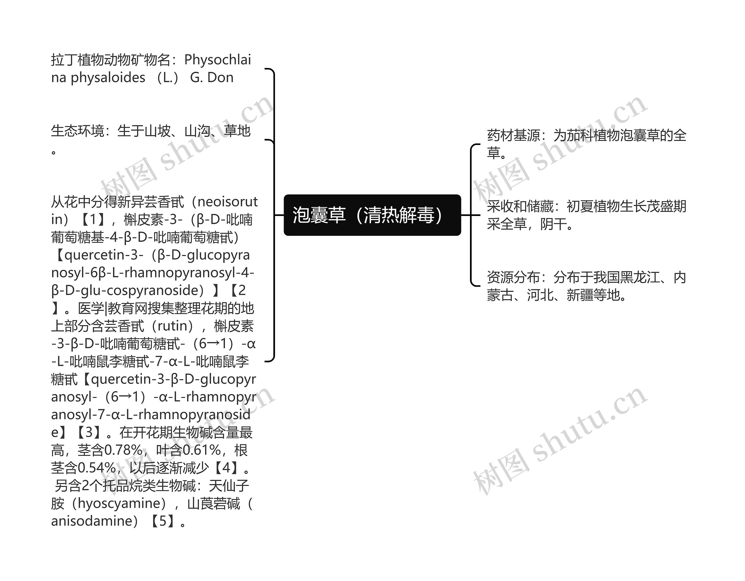 泡囊草（清热解毒）