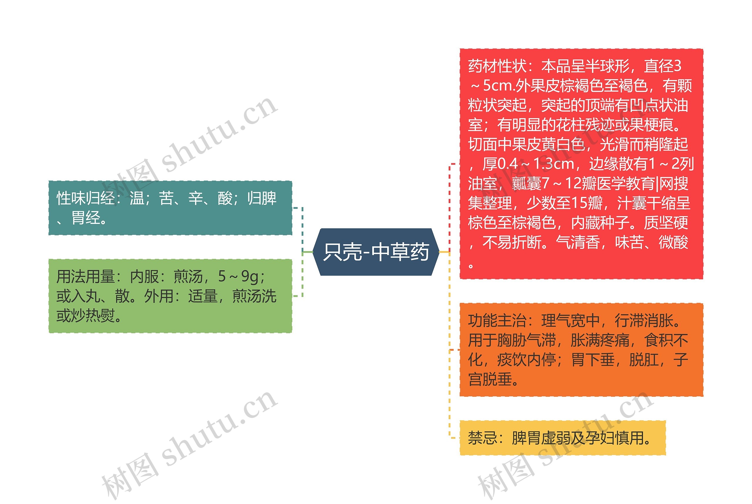 只壳-中草药思维导图