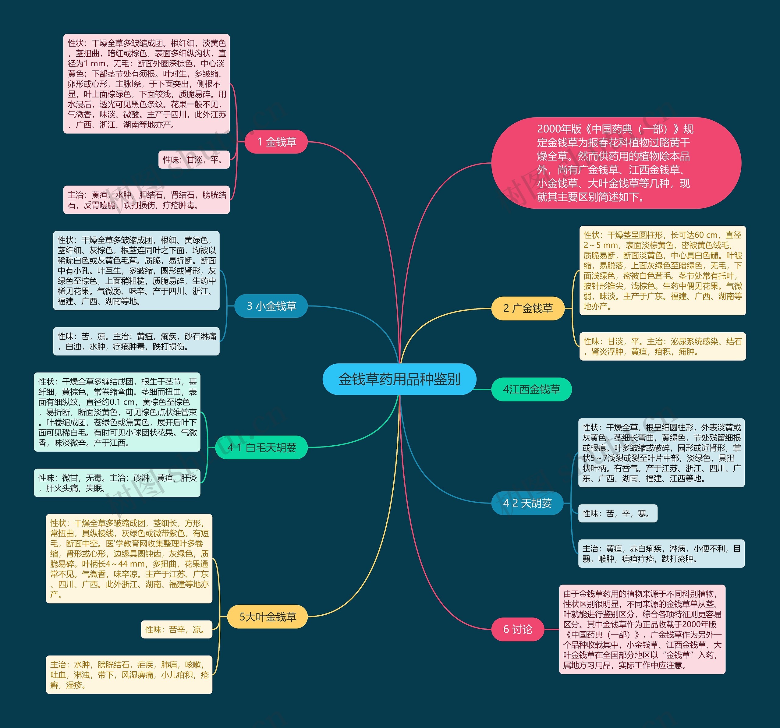 金钱草药用品种鉴别思维导图