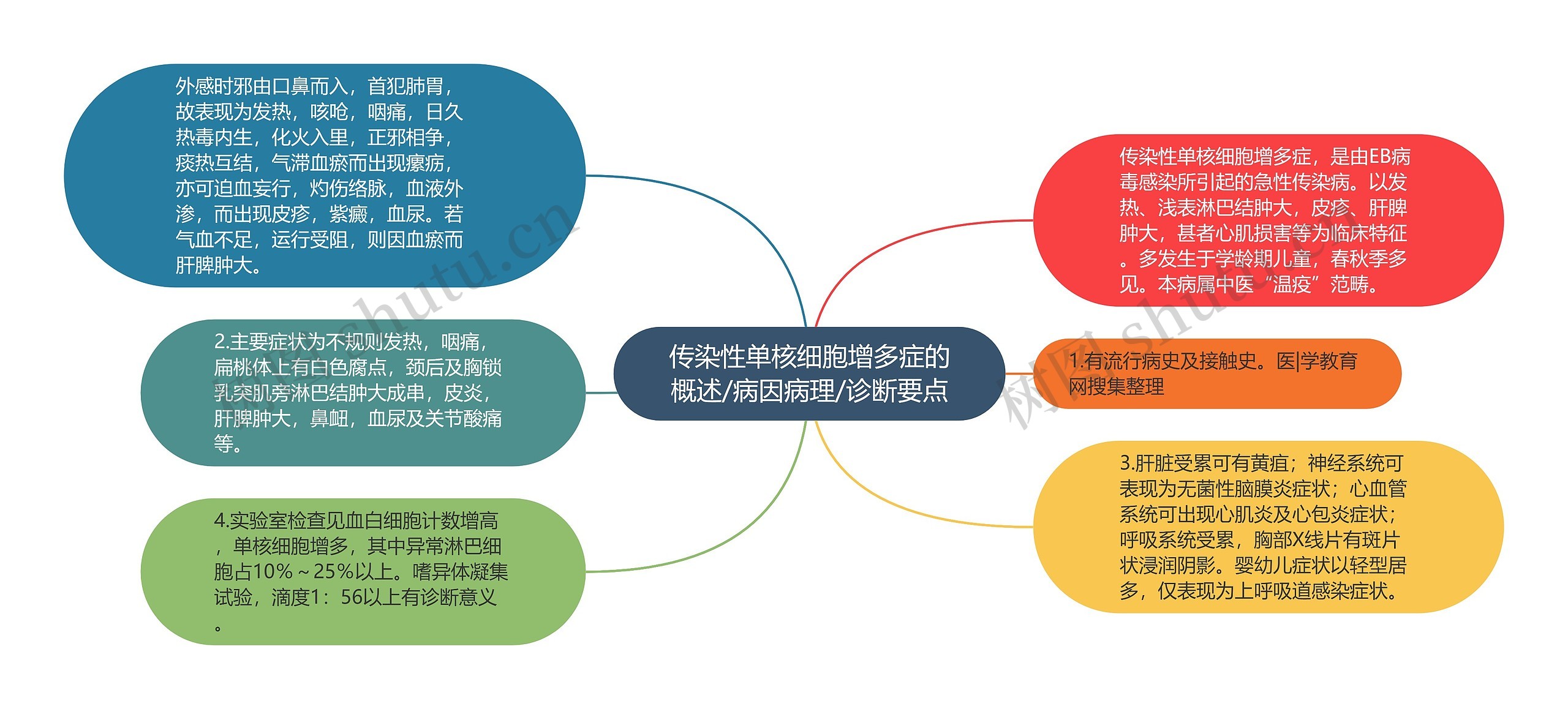 传染性单核细胞增多症的概述/病因病理/诊断要点