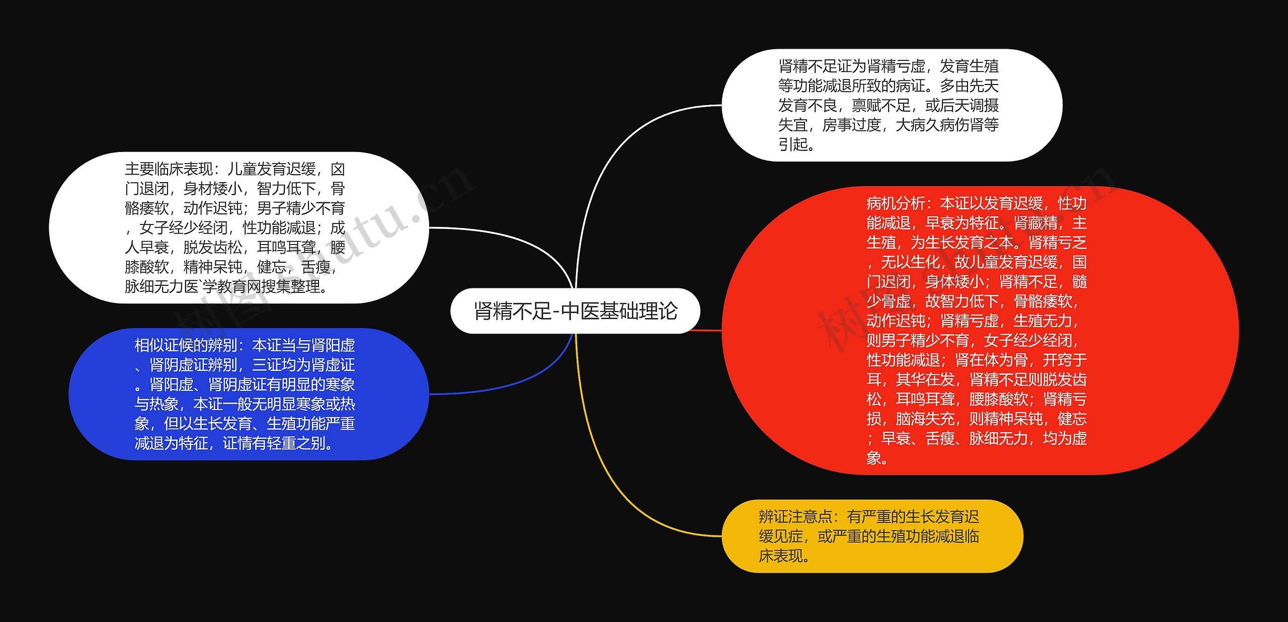 肾精不足-中医基础理论思维导图