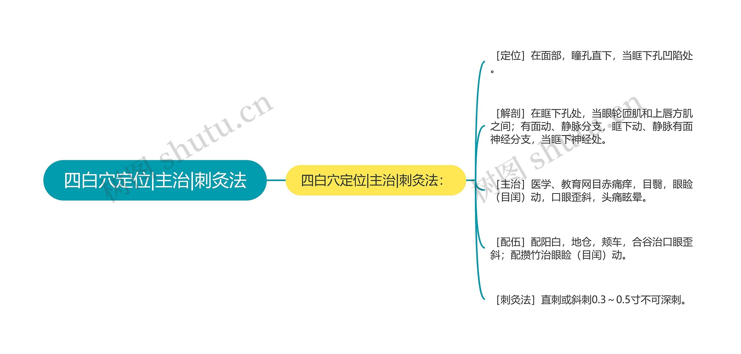 四白穴定位|主治|刺灸法思维导图