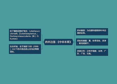 肉半边莲-《中华本草》