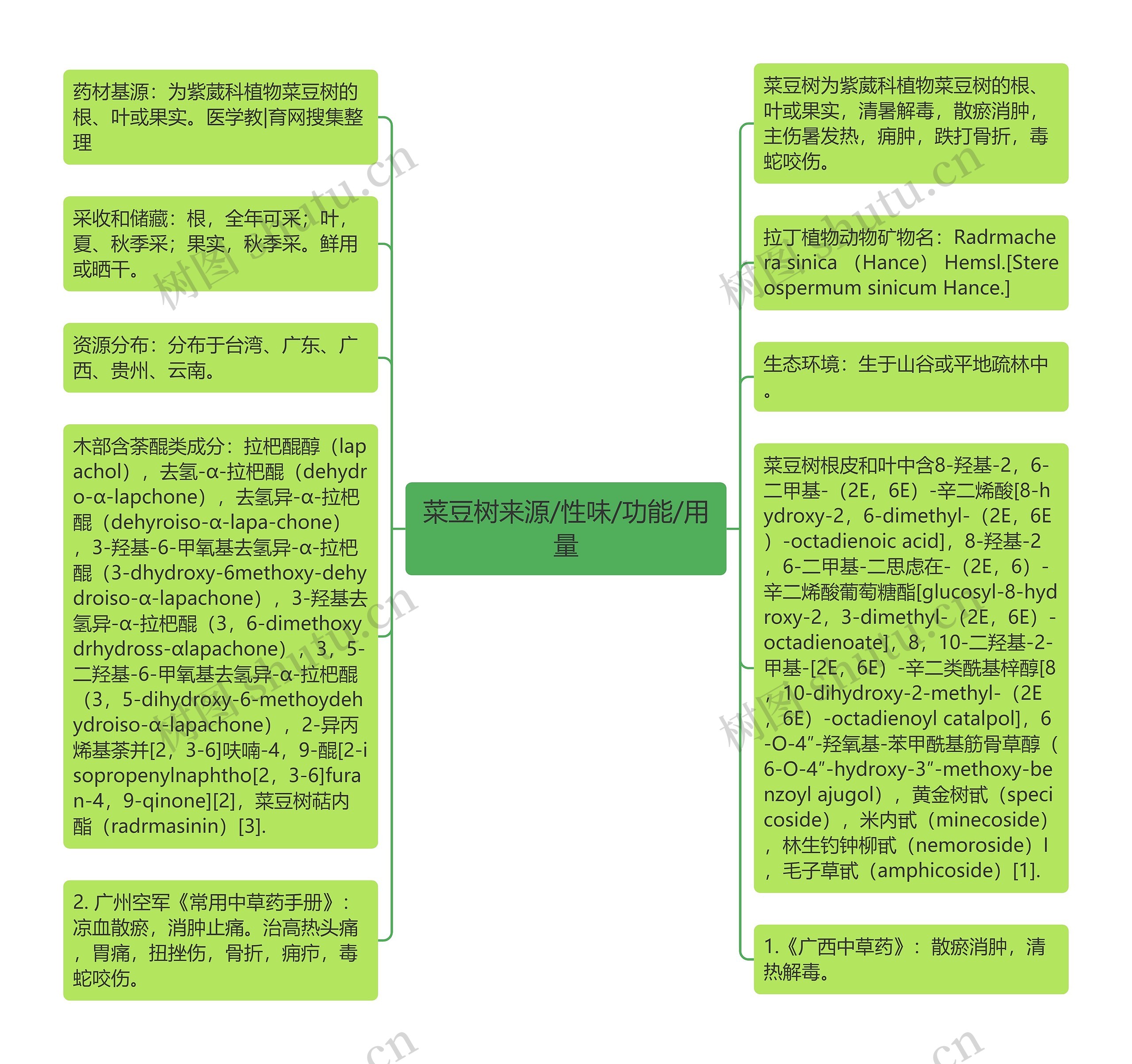 菜豆树来源/性味/功能/用量思维导图