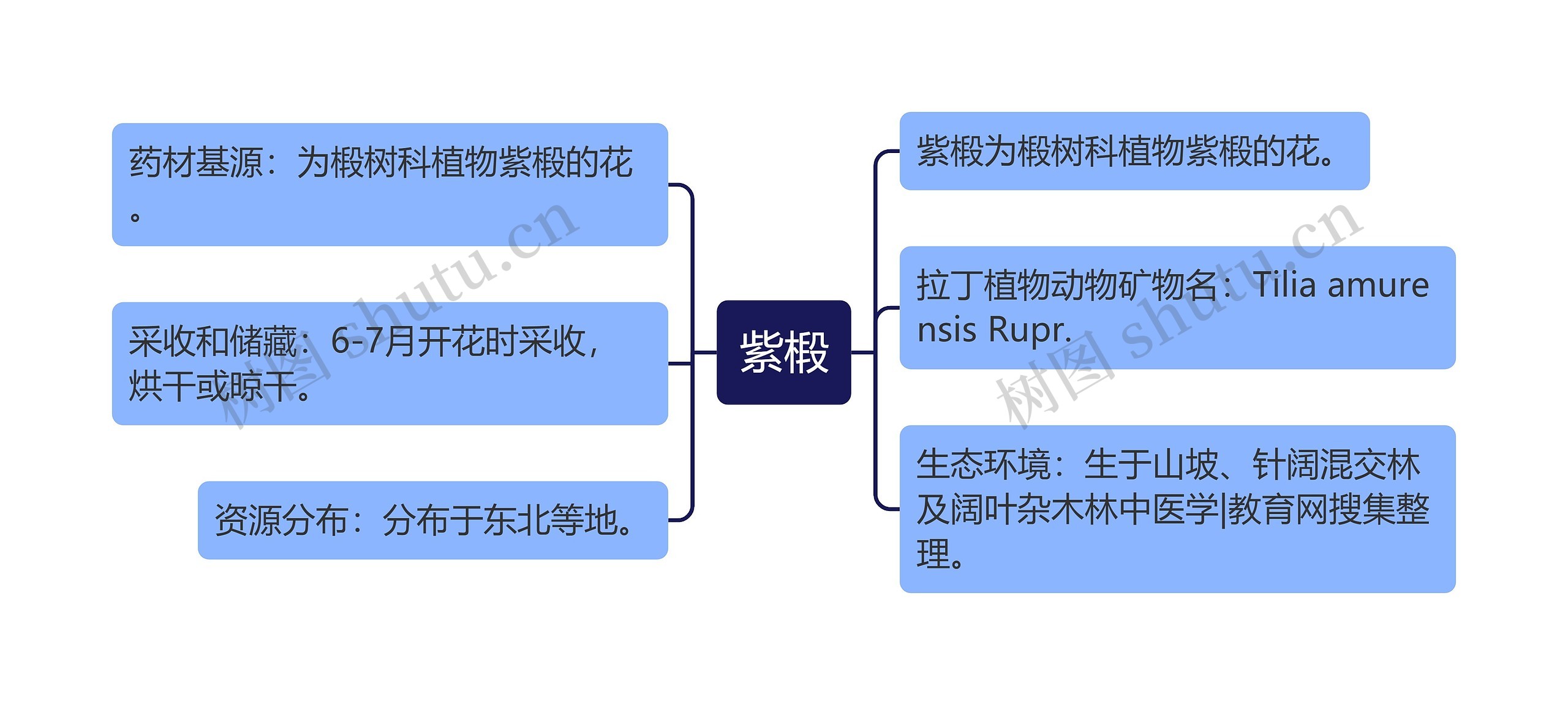 紫椴思维导图