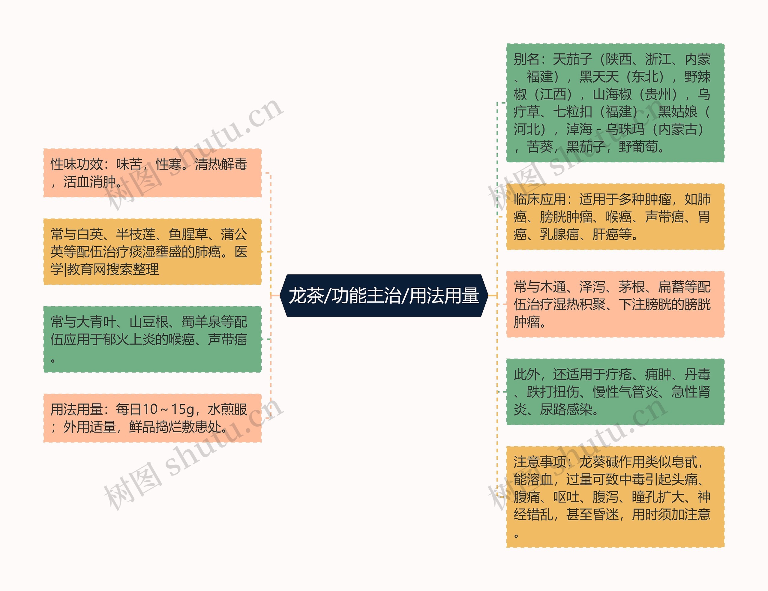 龙茶/功能主治/用法用量