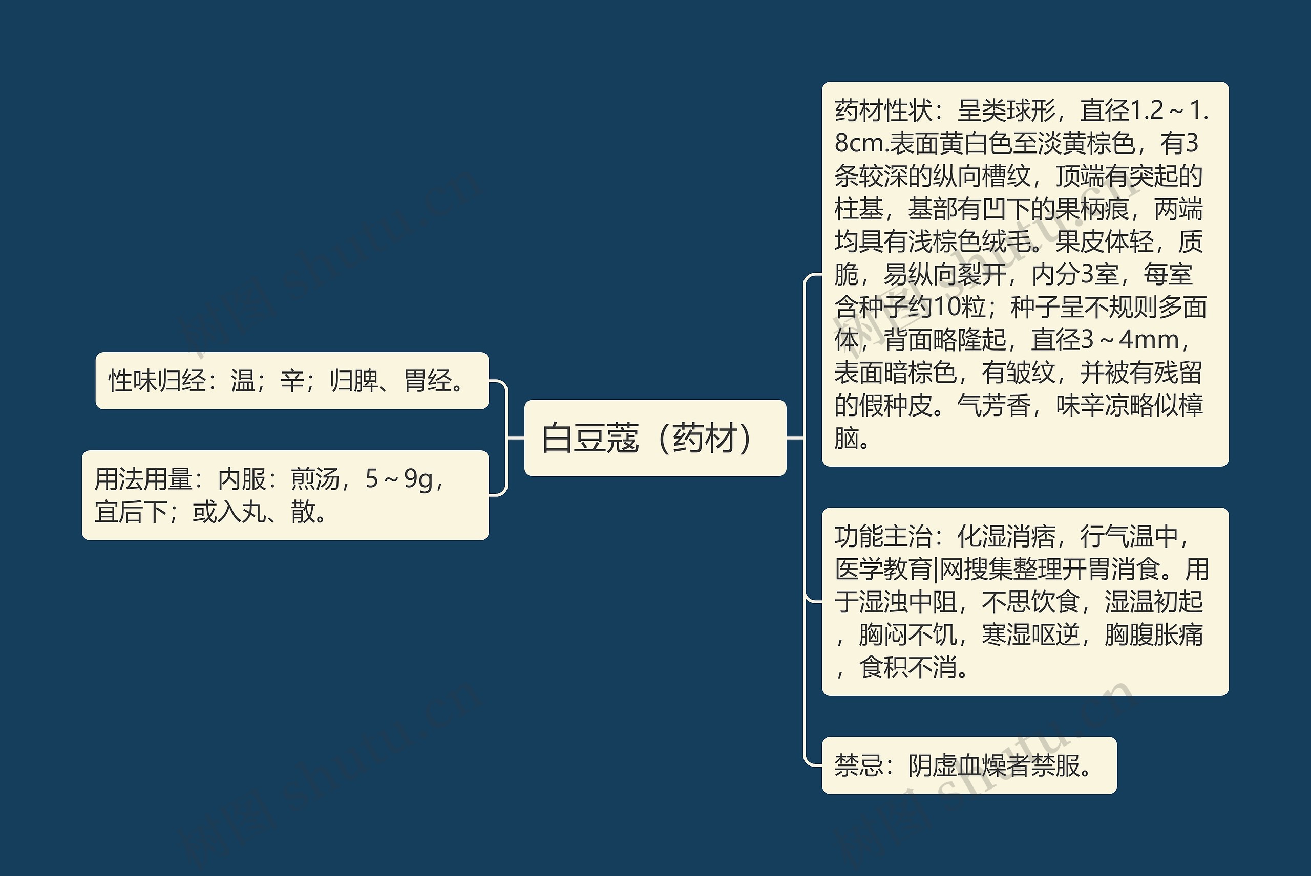 白豆蔻（药材）思维导图