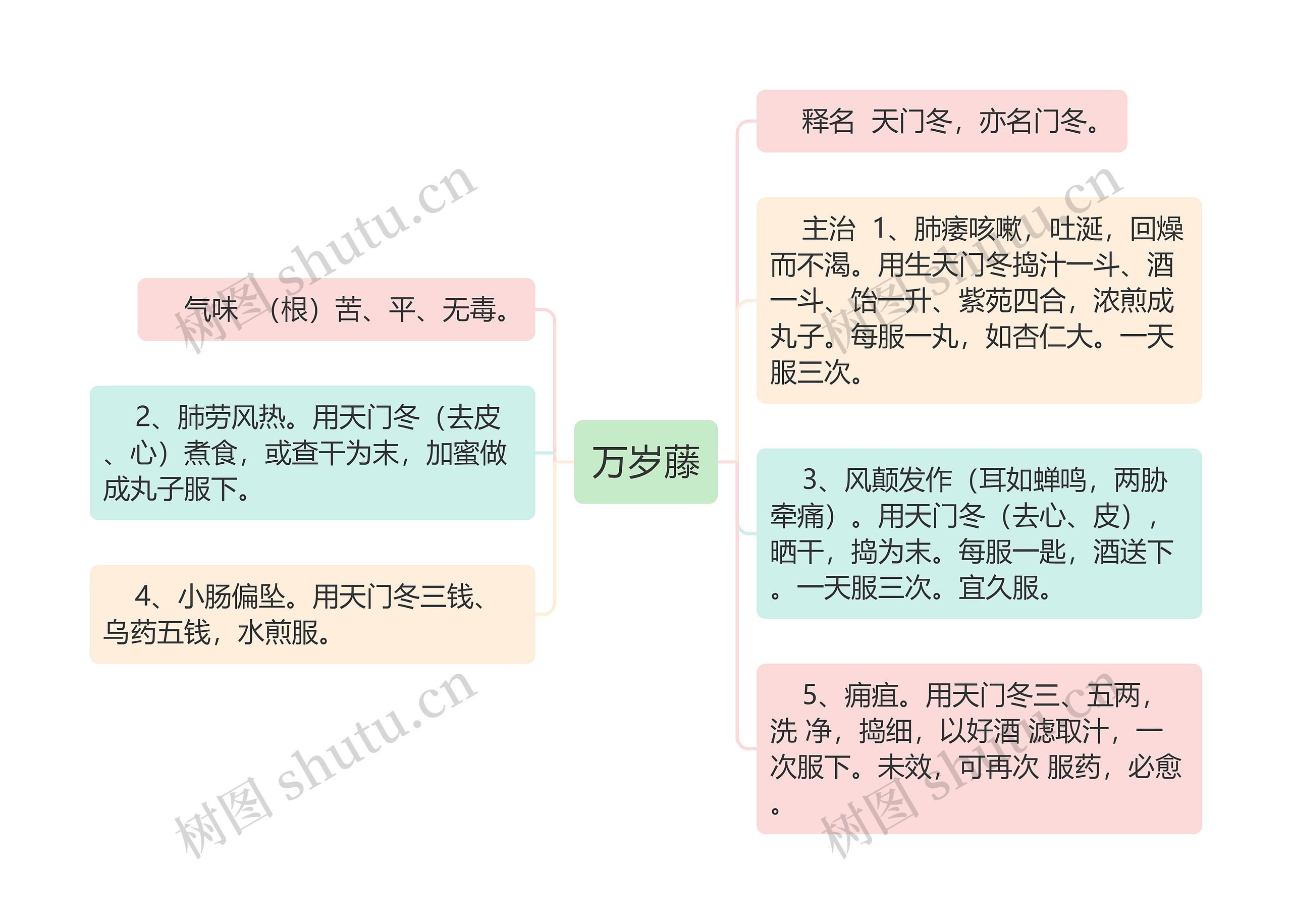 万岁藤思维导图