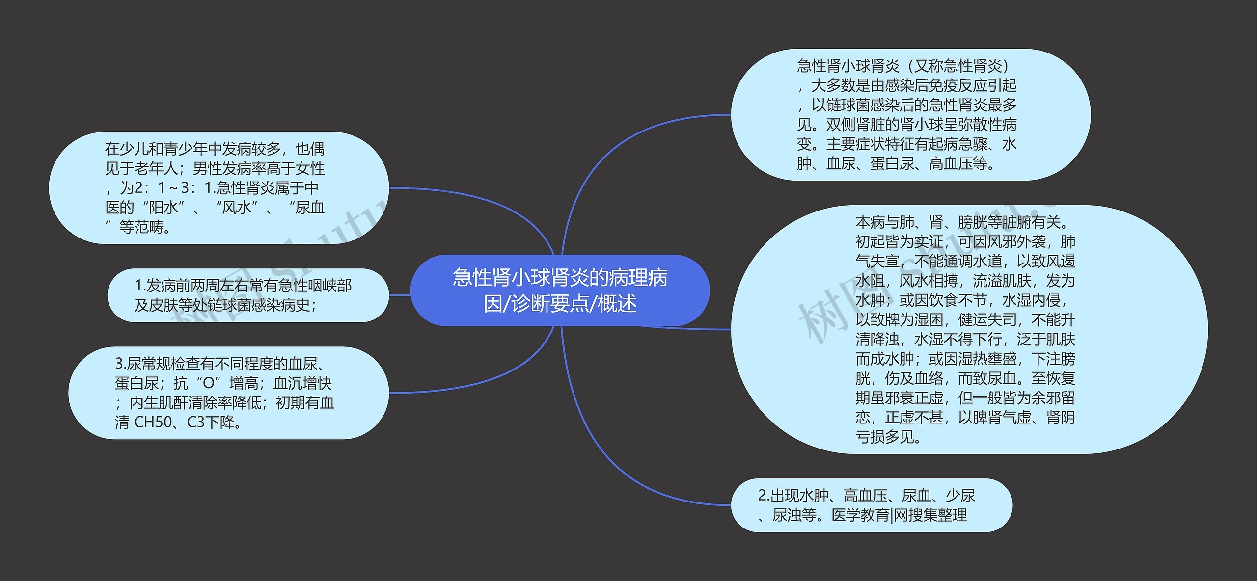 急性肾小球肾炎的病理病因/诊断要点/概述