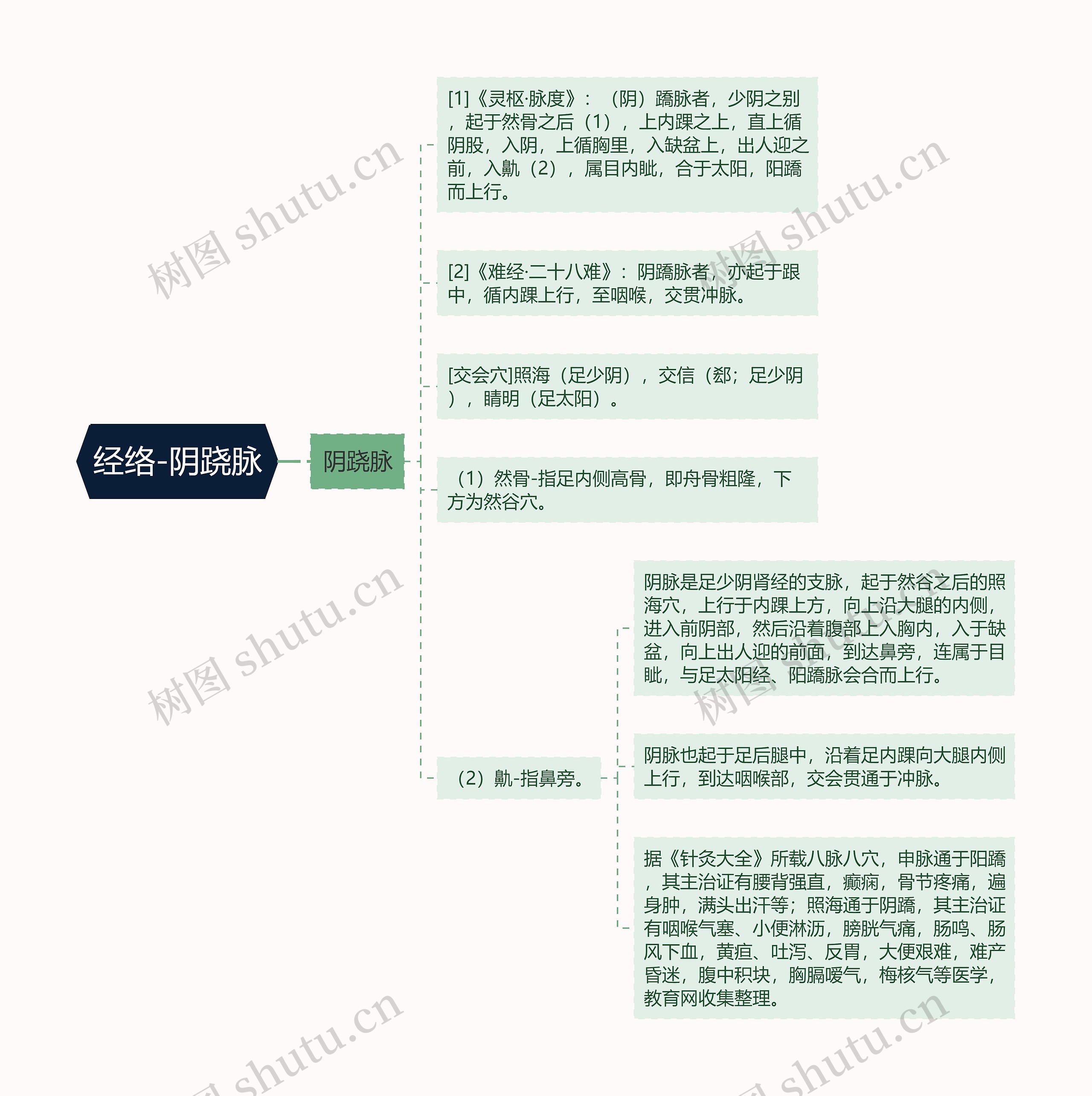 经络-阴跷脉思维导图