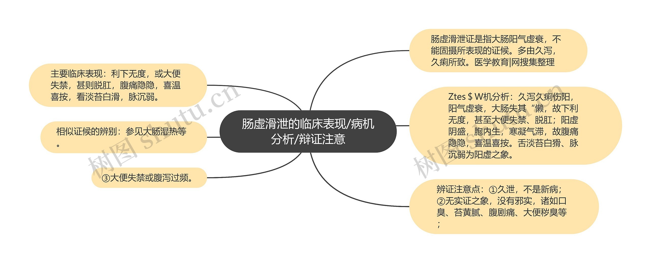 肠虚滑泄的临床表现/病机分析/辩证注意思维导图