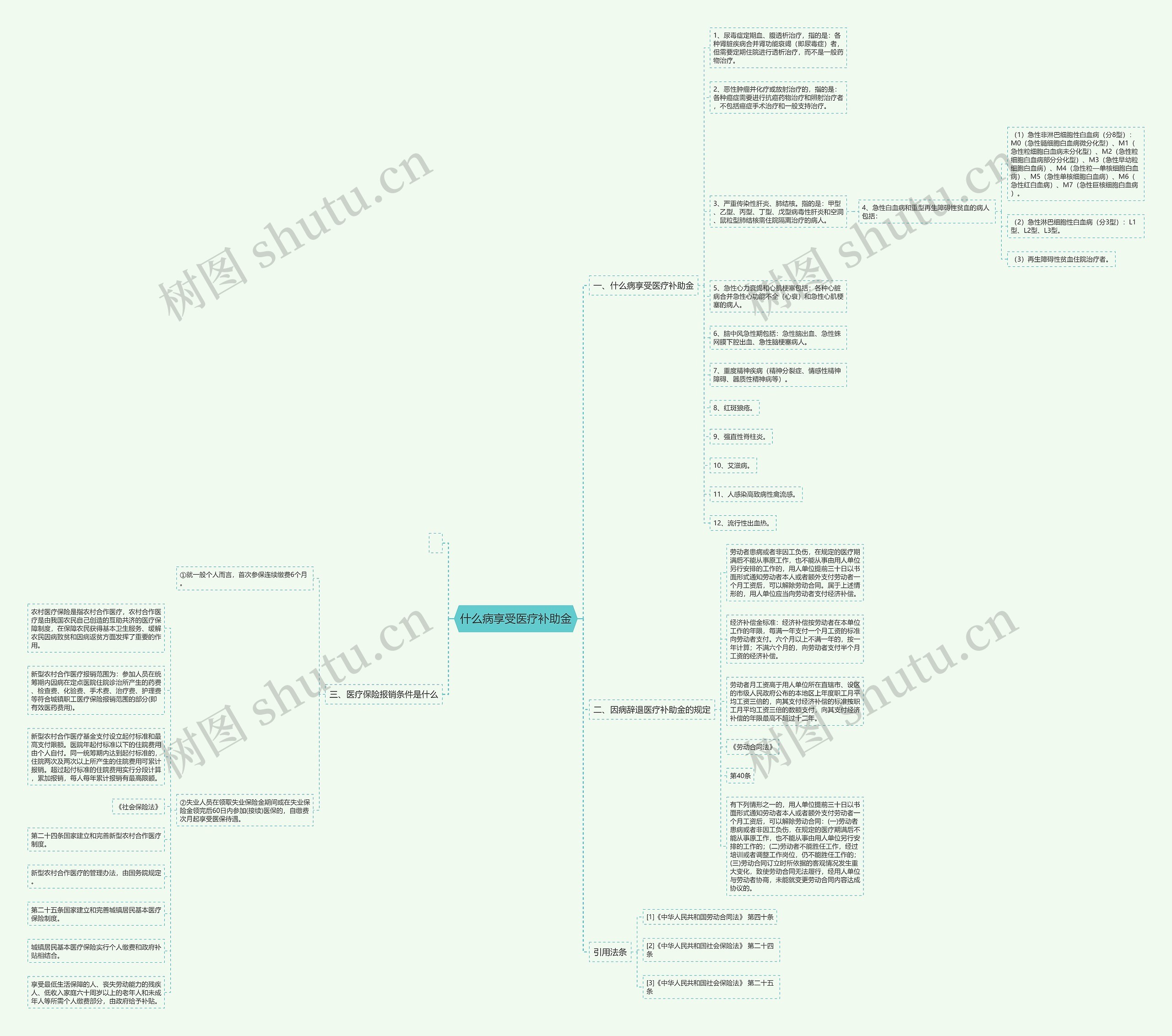 什么病享受医疗补助金思维导图