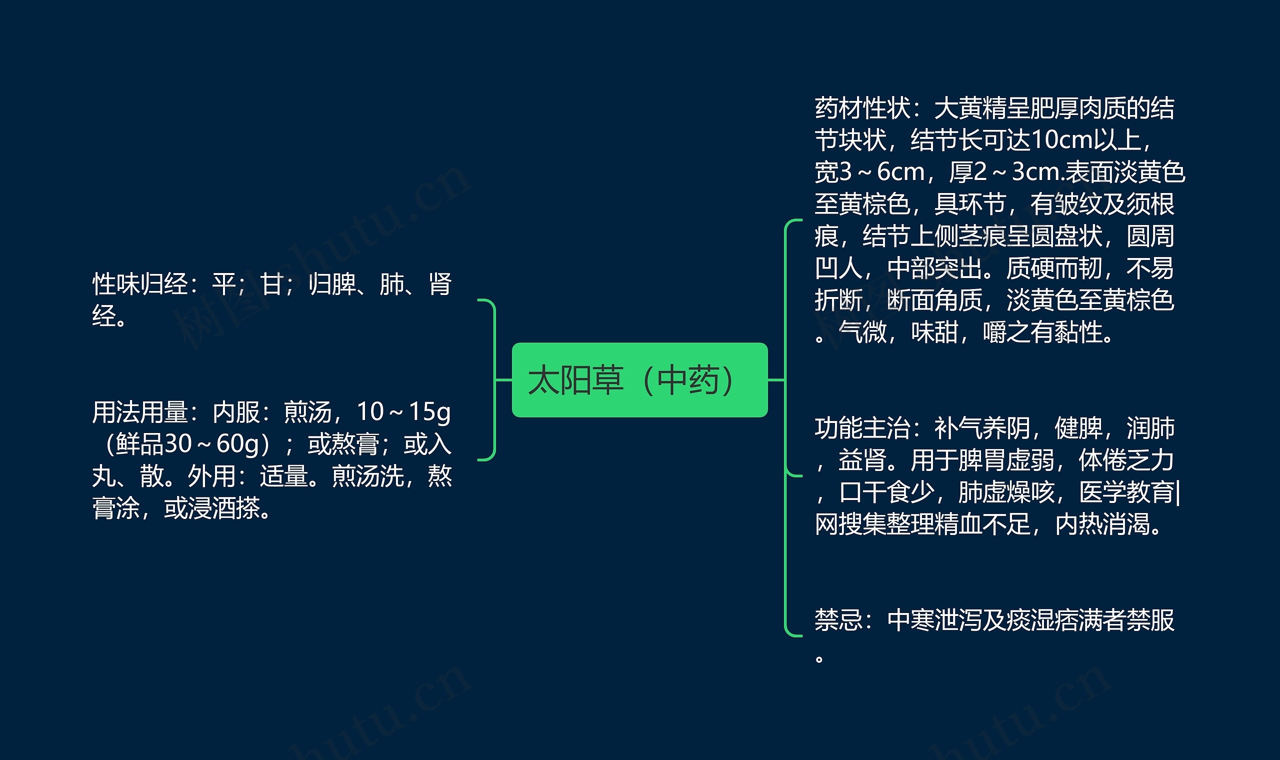 太阳草（中药）思维导图